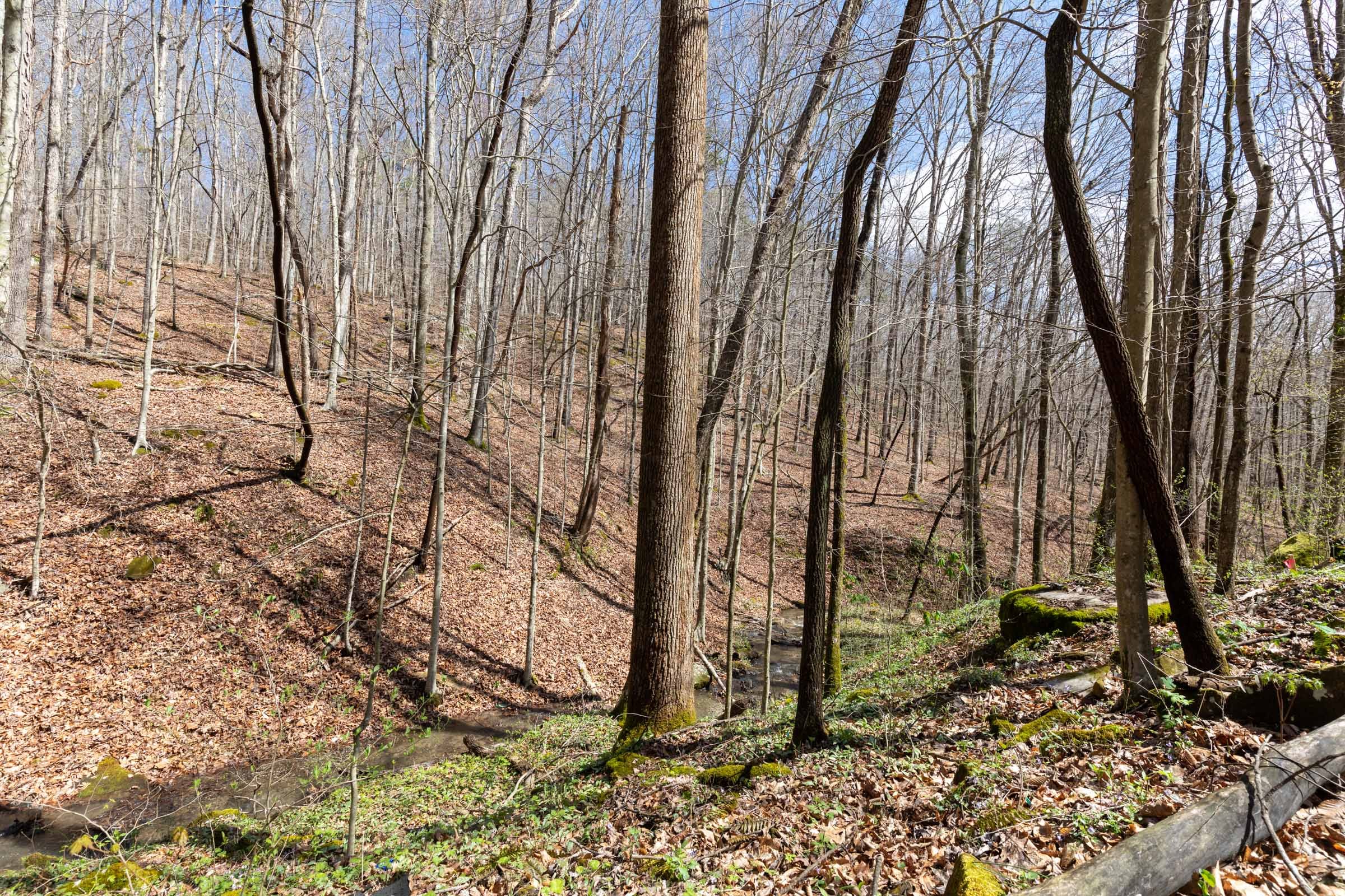 Woodland Heights Tract 18 photo 18