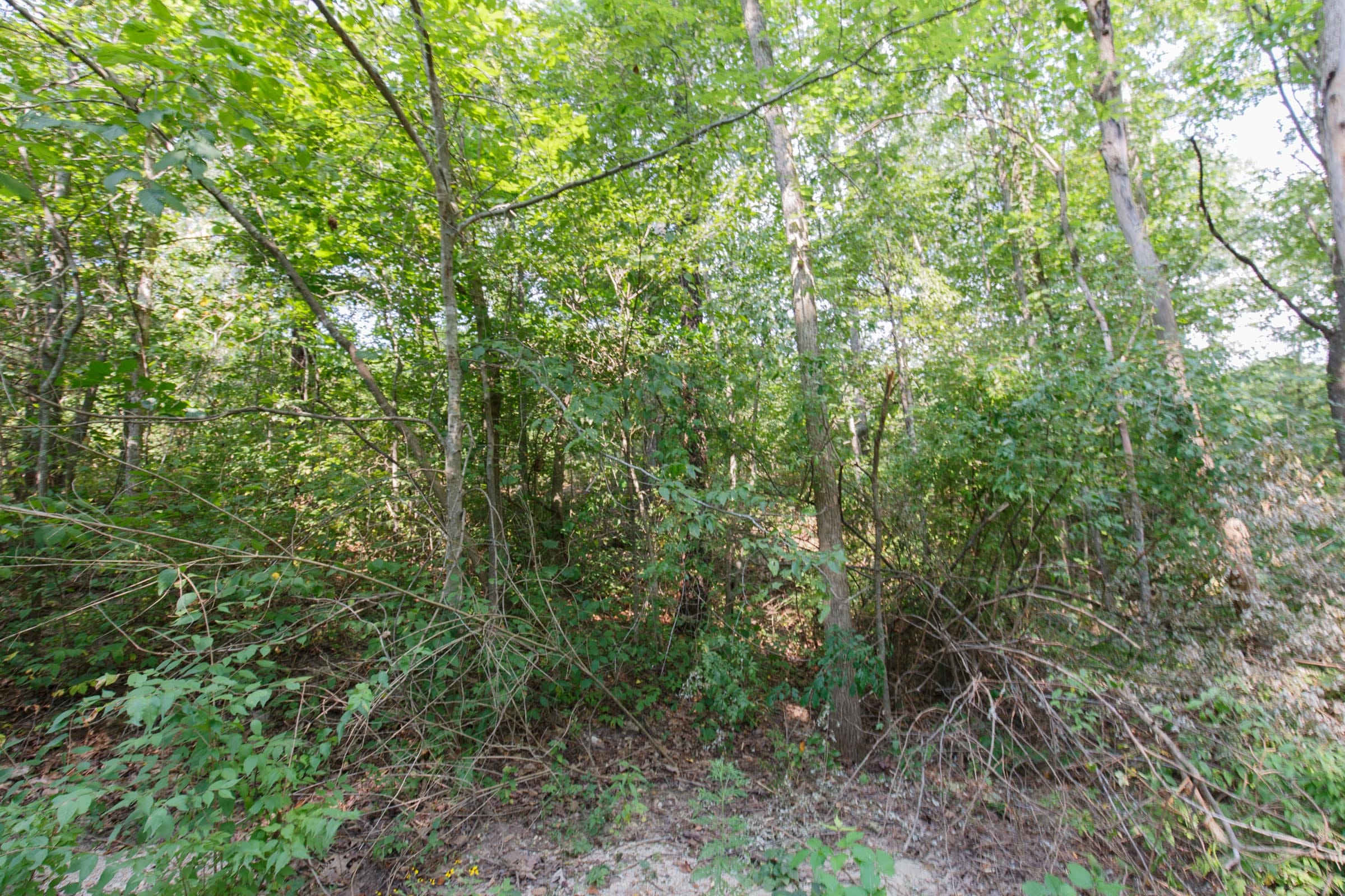 Spring Lake Plat 4 Tract 37 photo 4