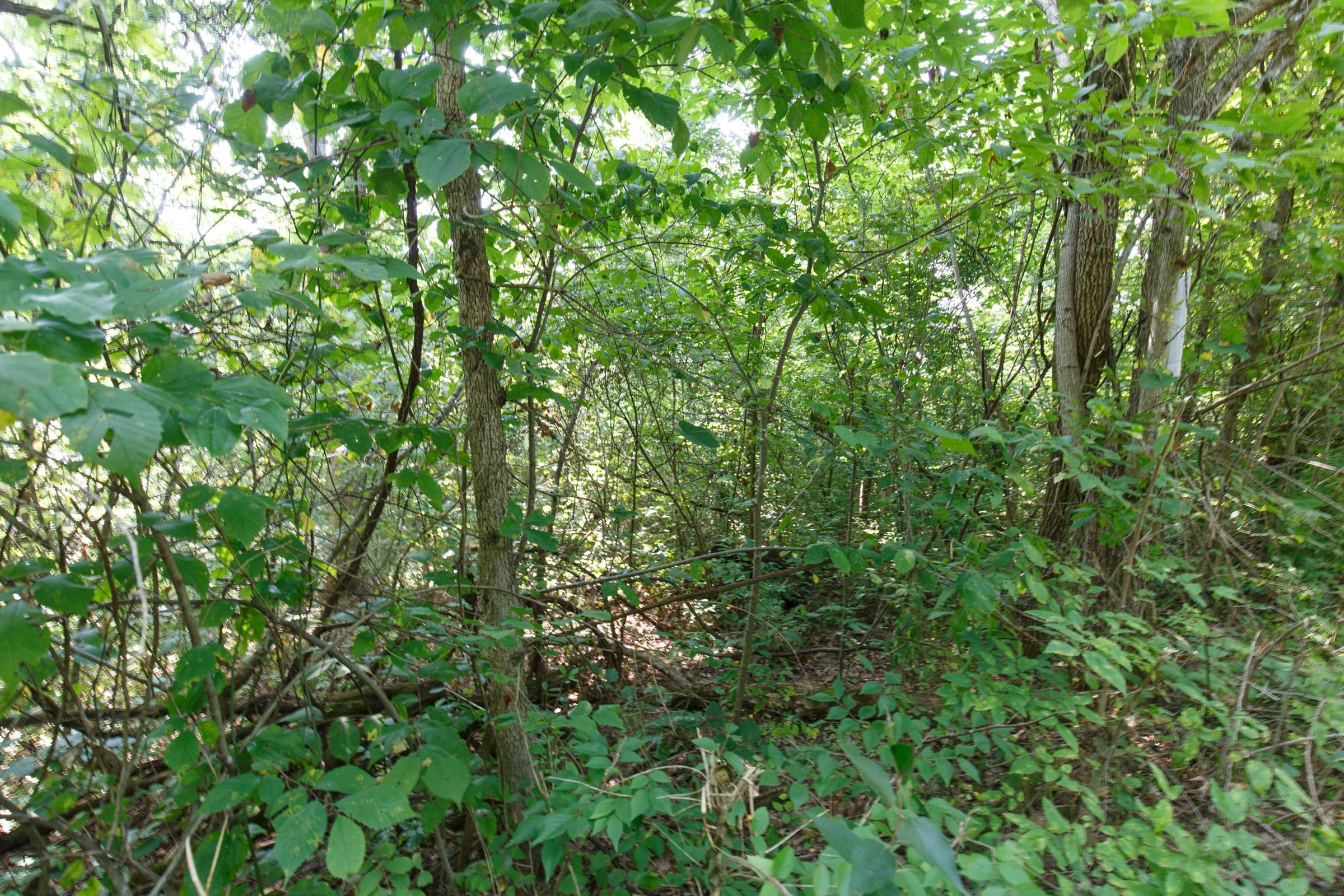 Spring Lake Plat 4 Tract 37 photo 5