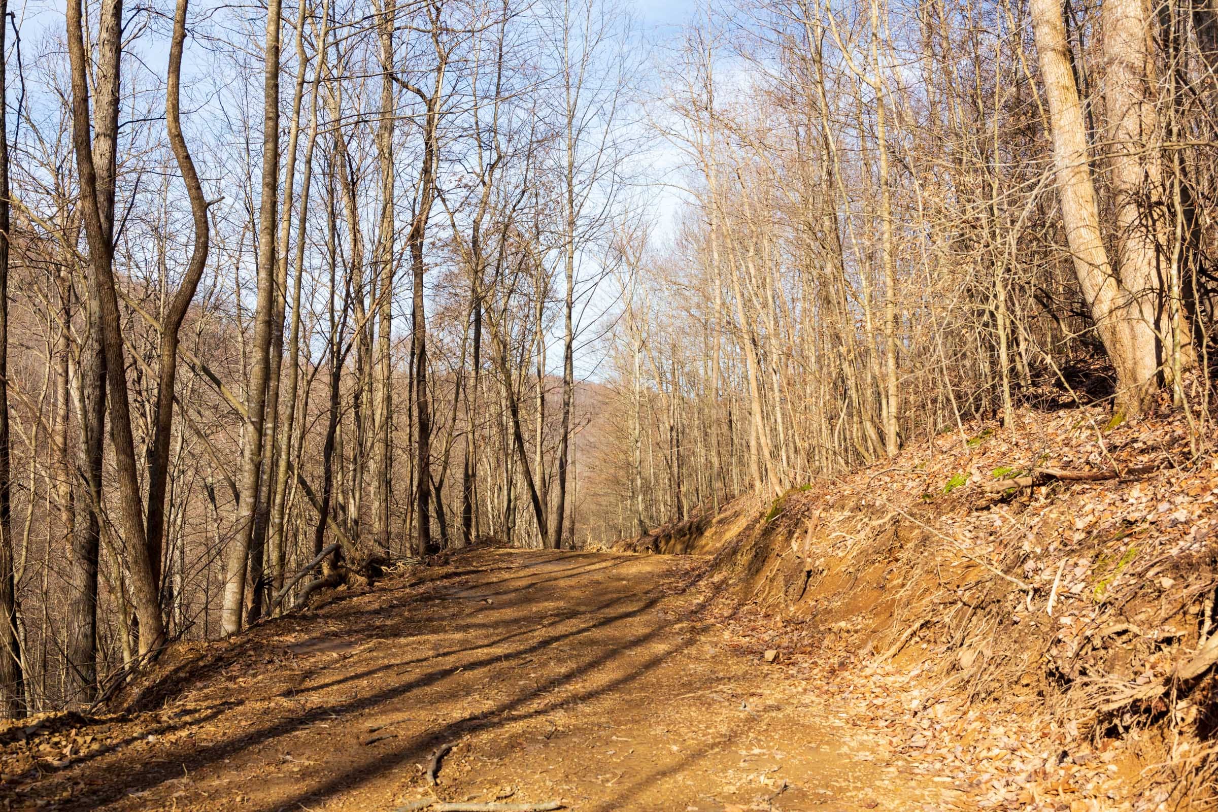Blackstone Mountain Phase II Tract 54 photo 6