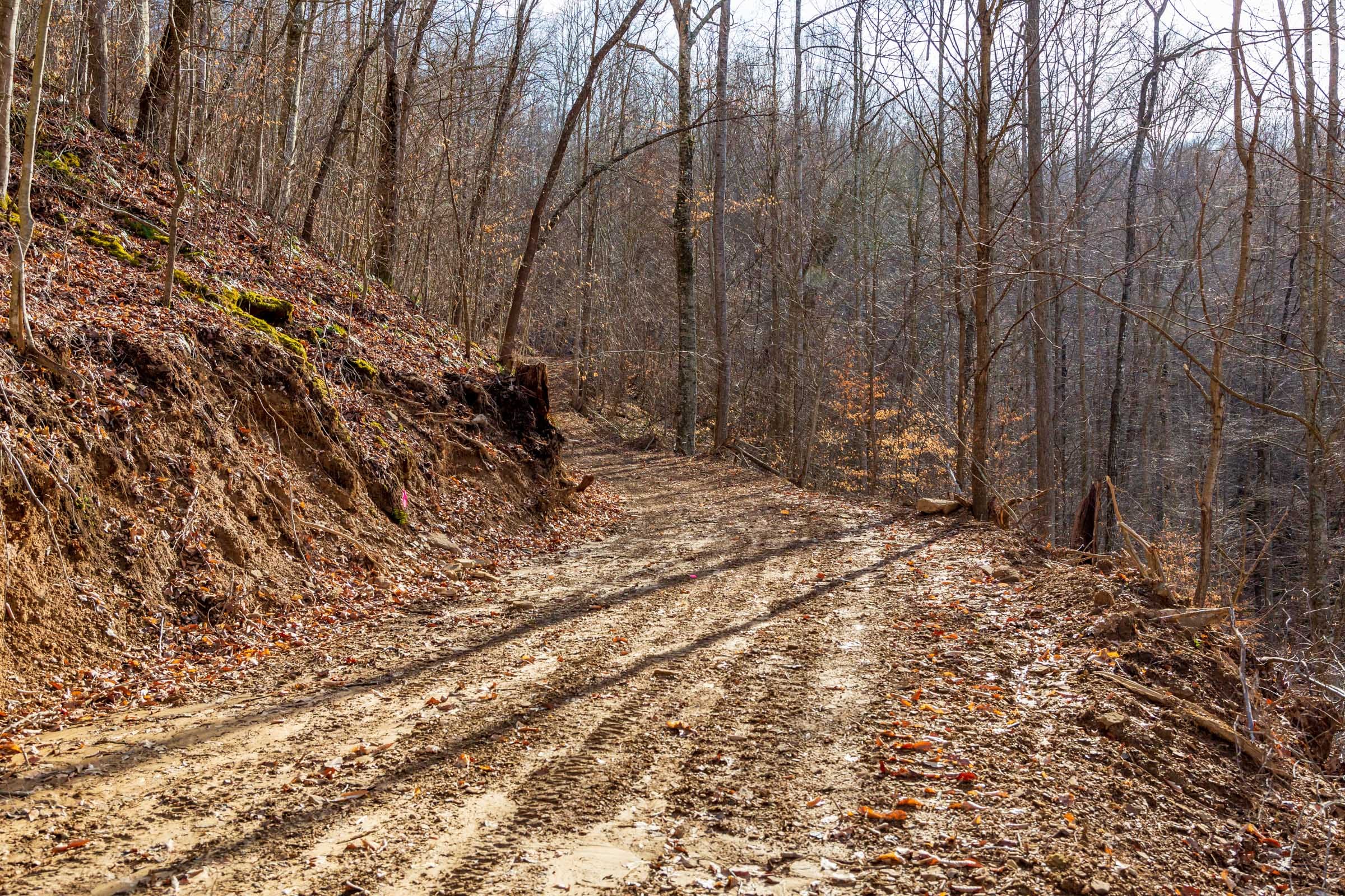 Blackstone Mountain Phase II Tract 54 photo 1