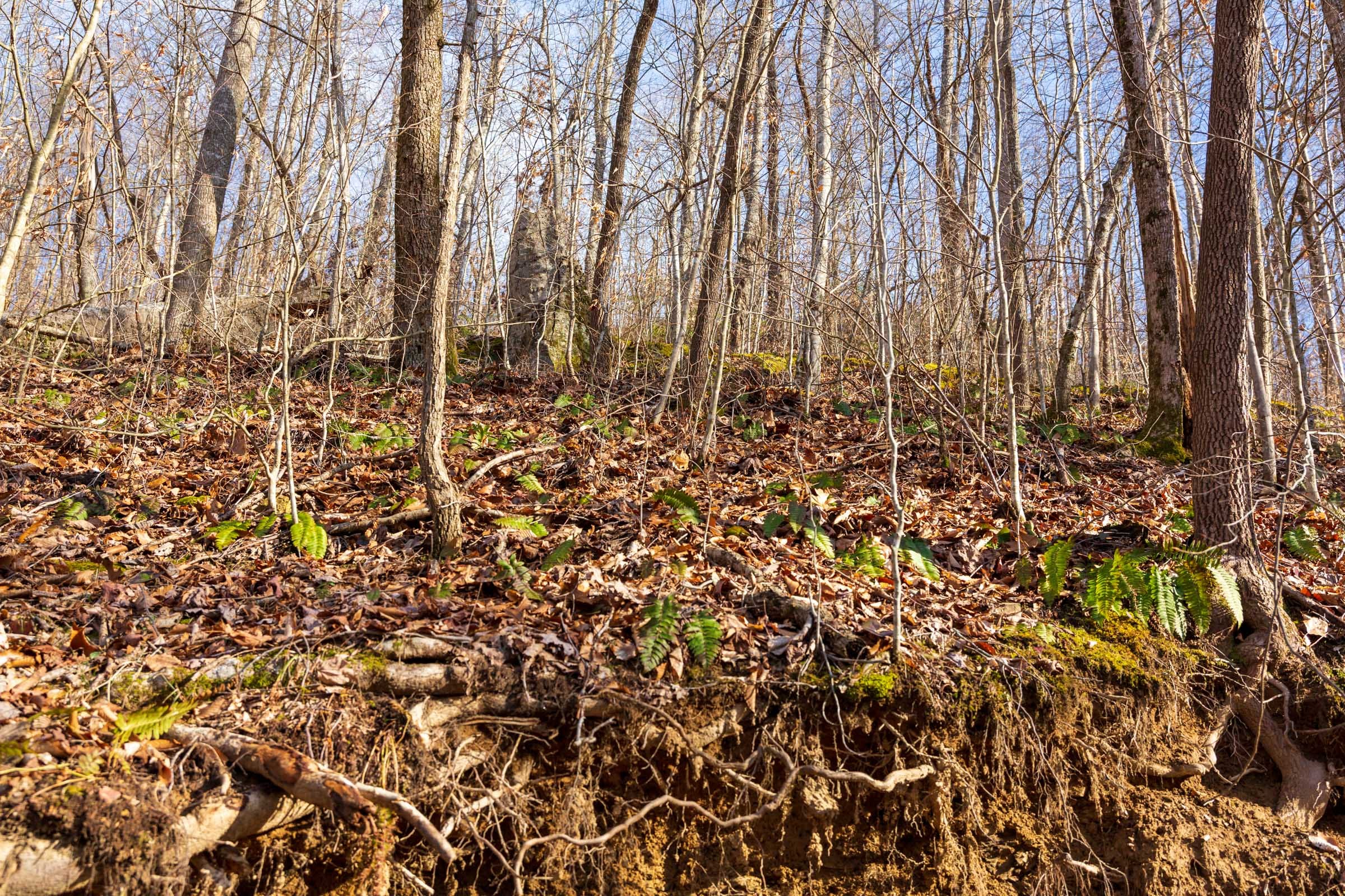 Blackstone Mountain Phase II Tract 54 photo 2
