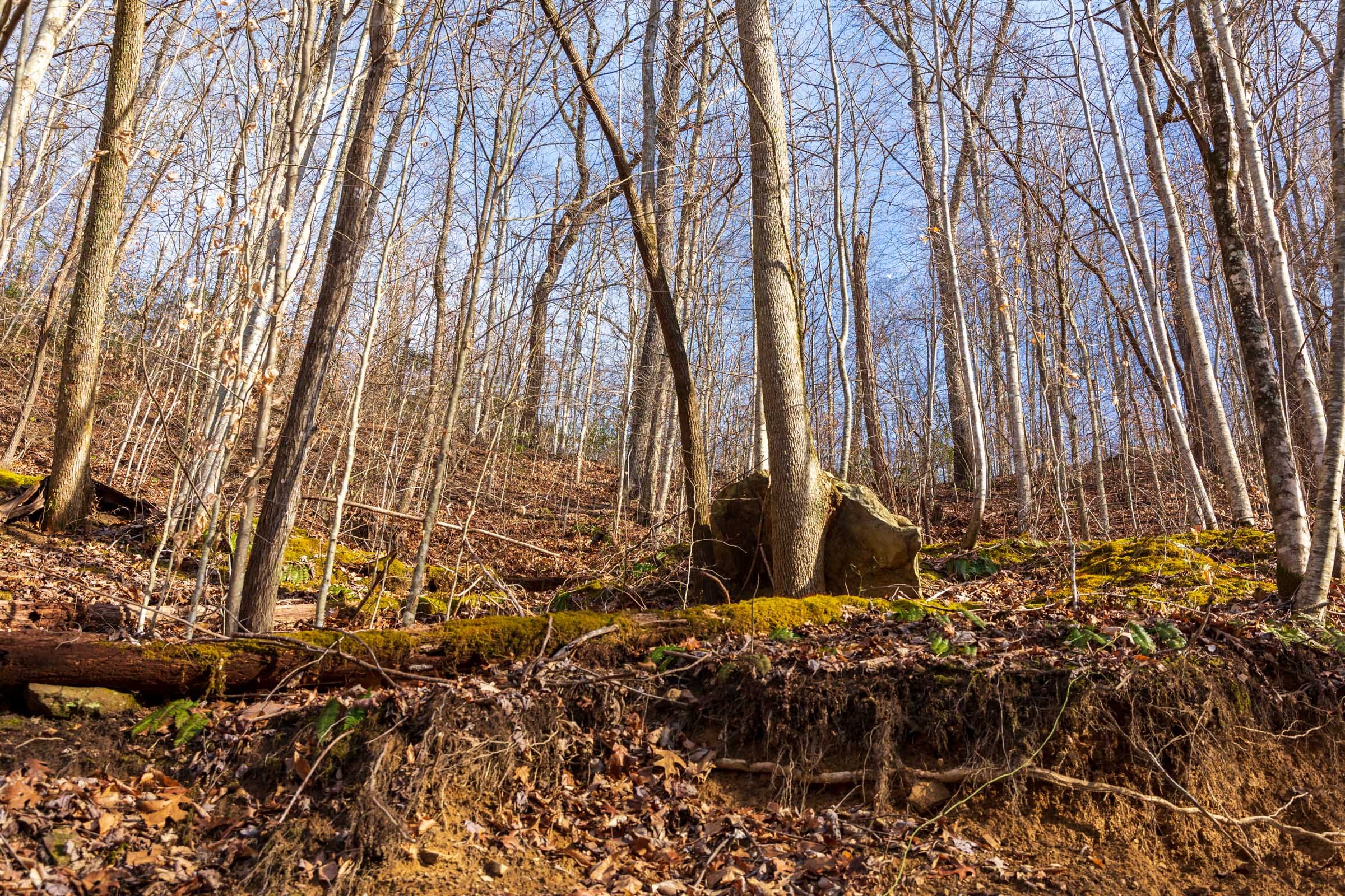 Blackstone Mountain Phase II Tract 54 photo 3