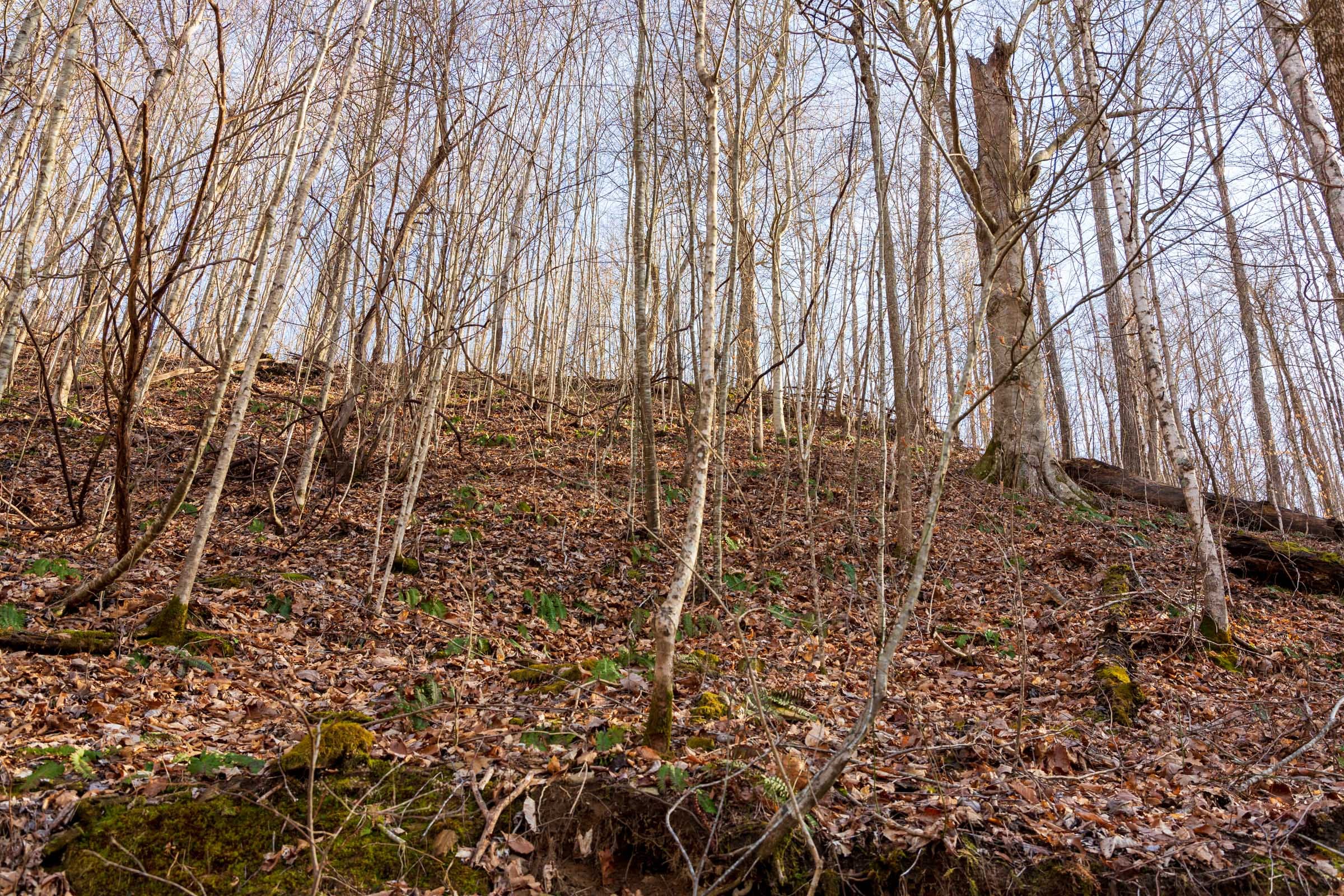 Blackstone Mountain Phase II Tract 54 photo 4