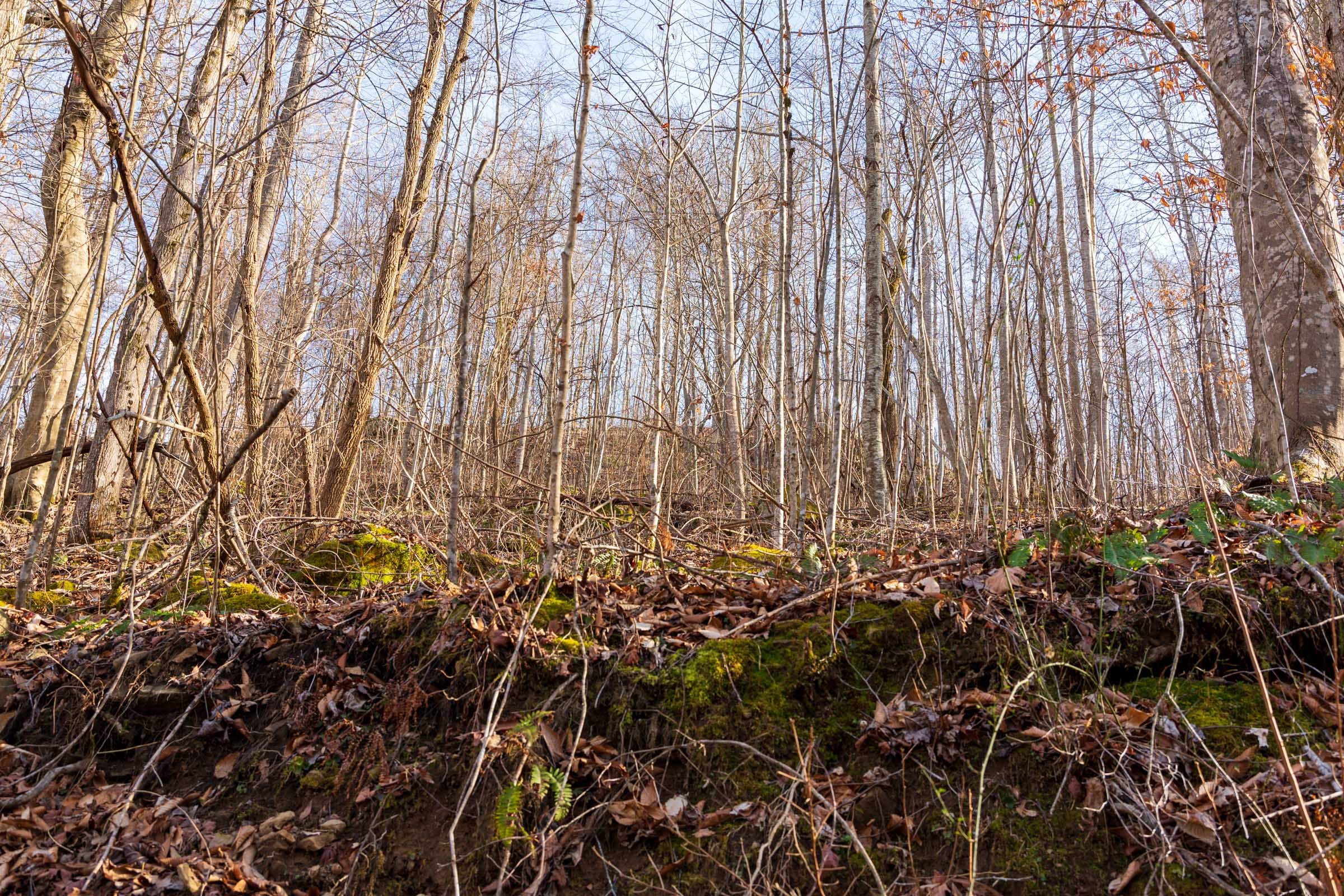 Blackstone Mountain Phase II Tract 54 photo 7