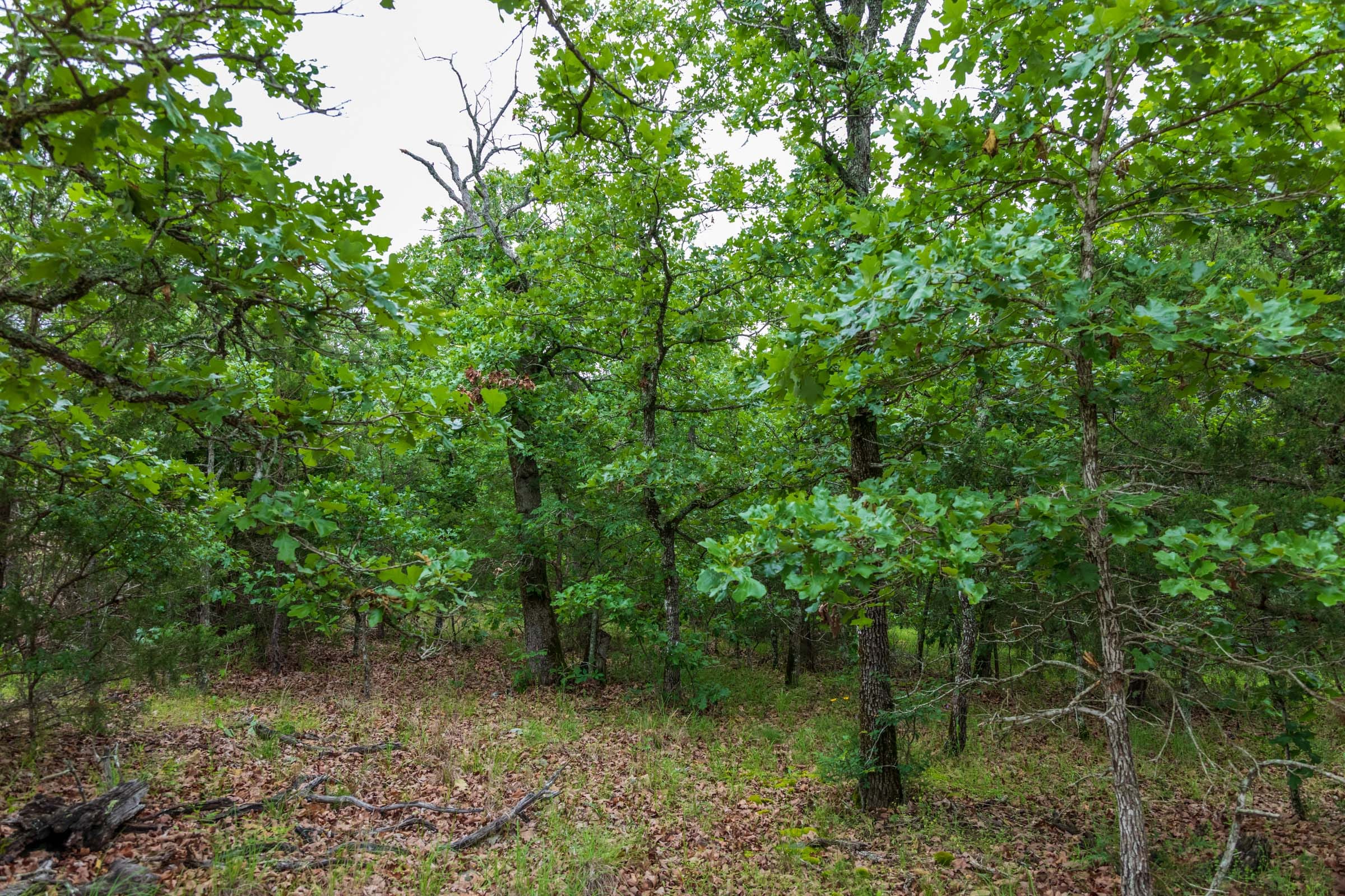 Falcon Crest Tract 3 photo 2