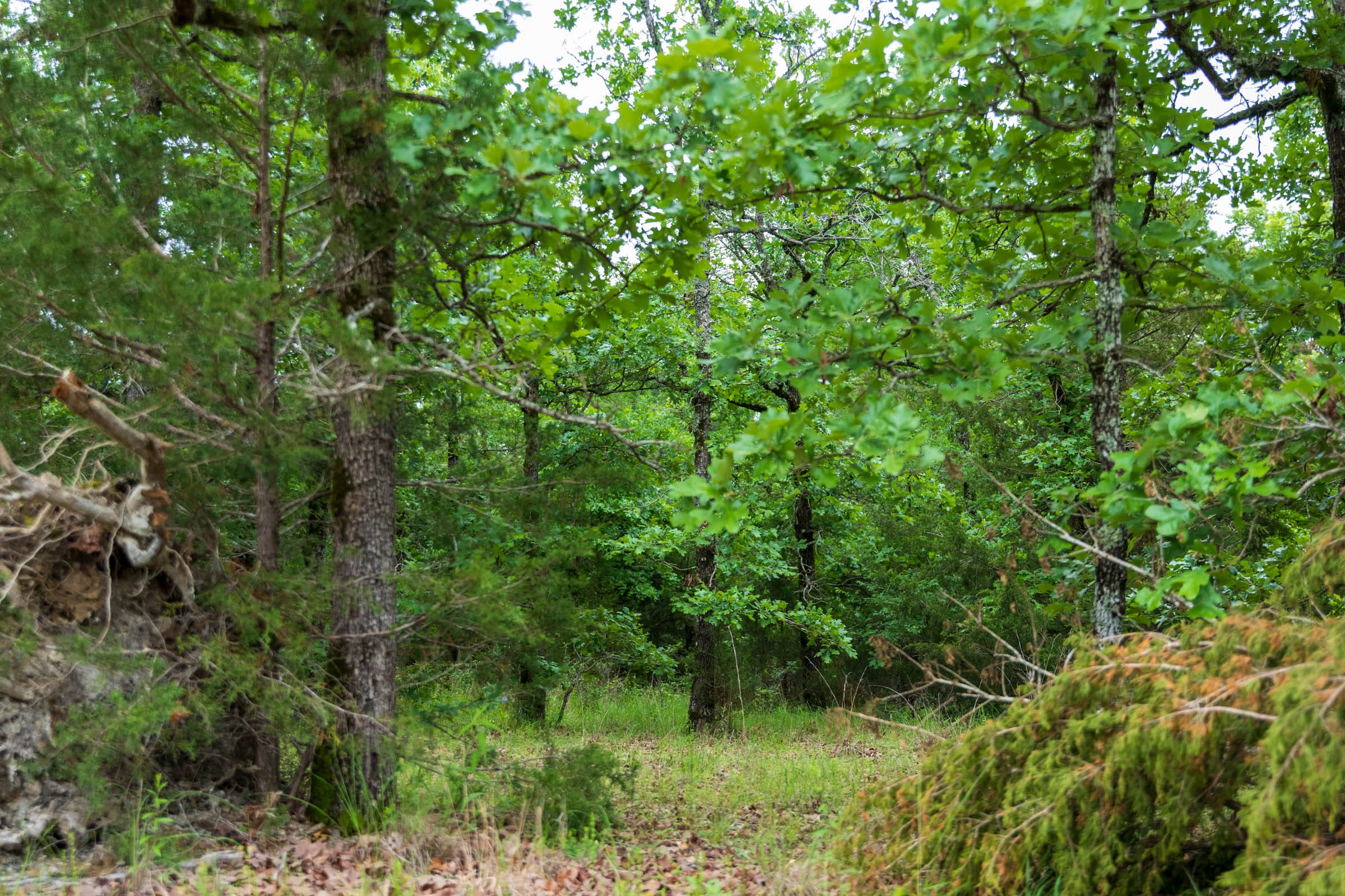 Falcon Crest Tract 3 photo 5