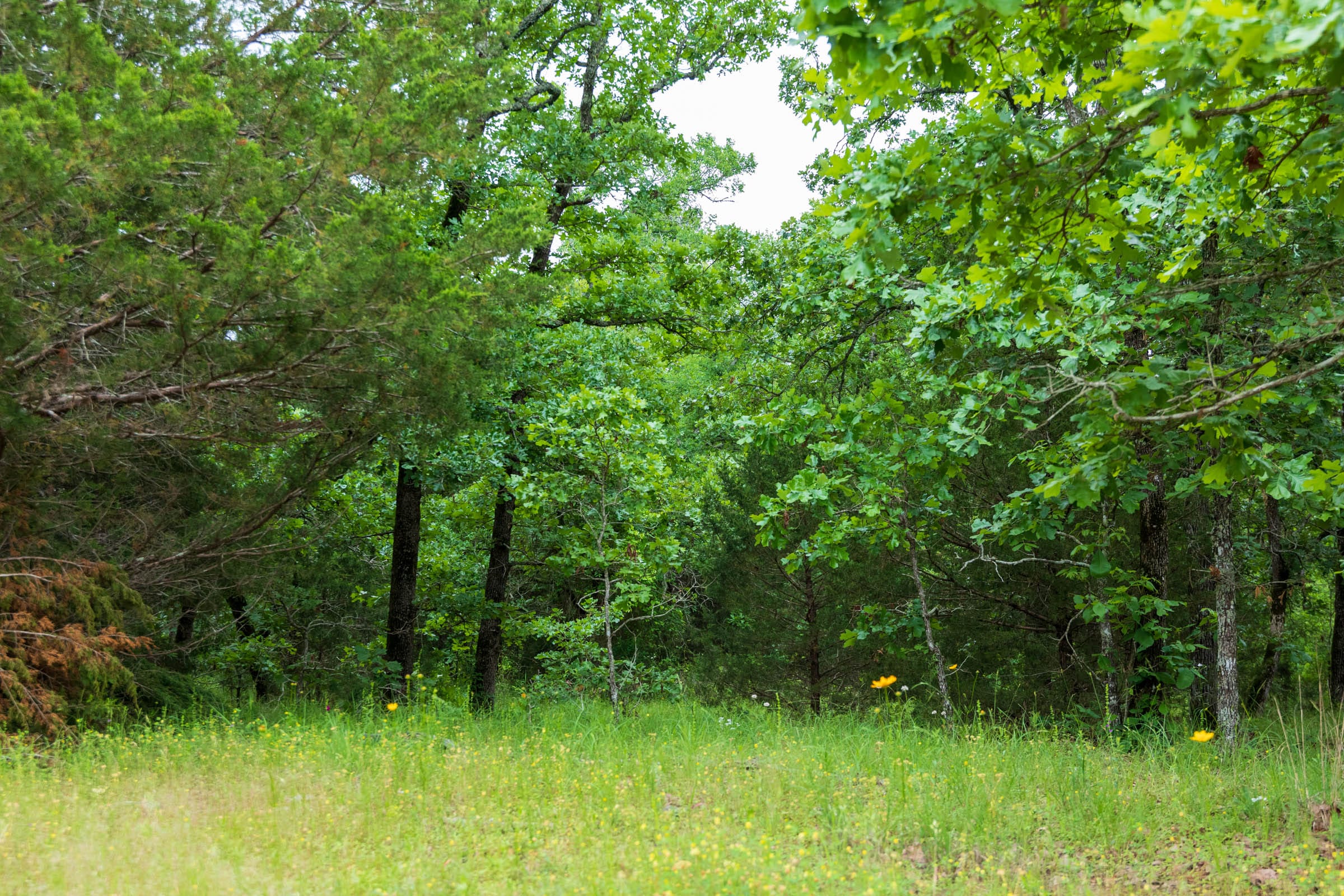 Falcon Crest Tract 3 photo 9