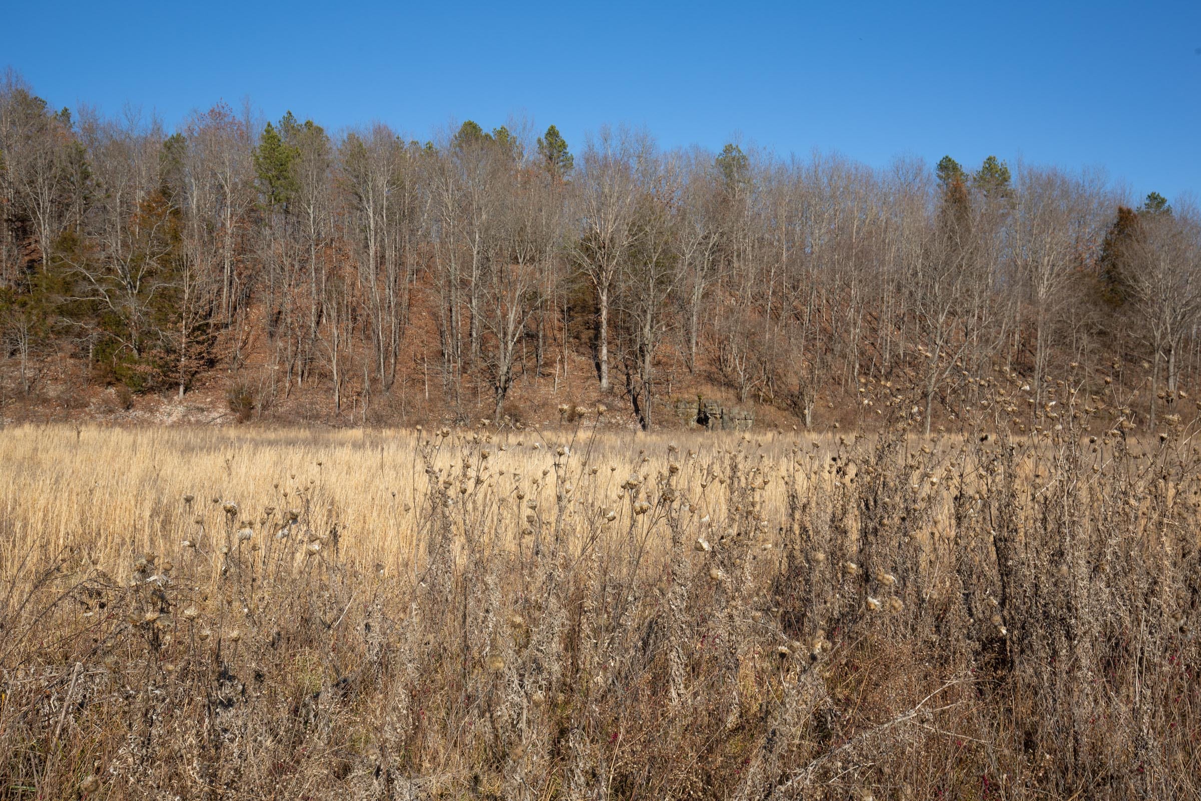 O’Connor Crossing Tract 5 photo 6