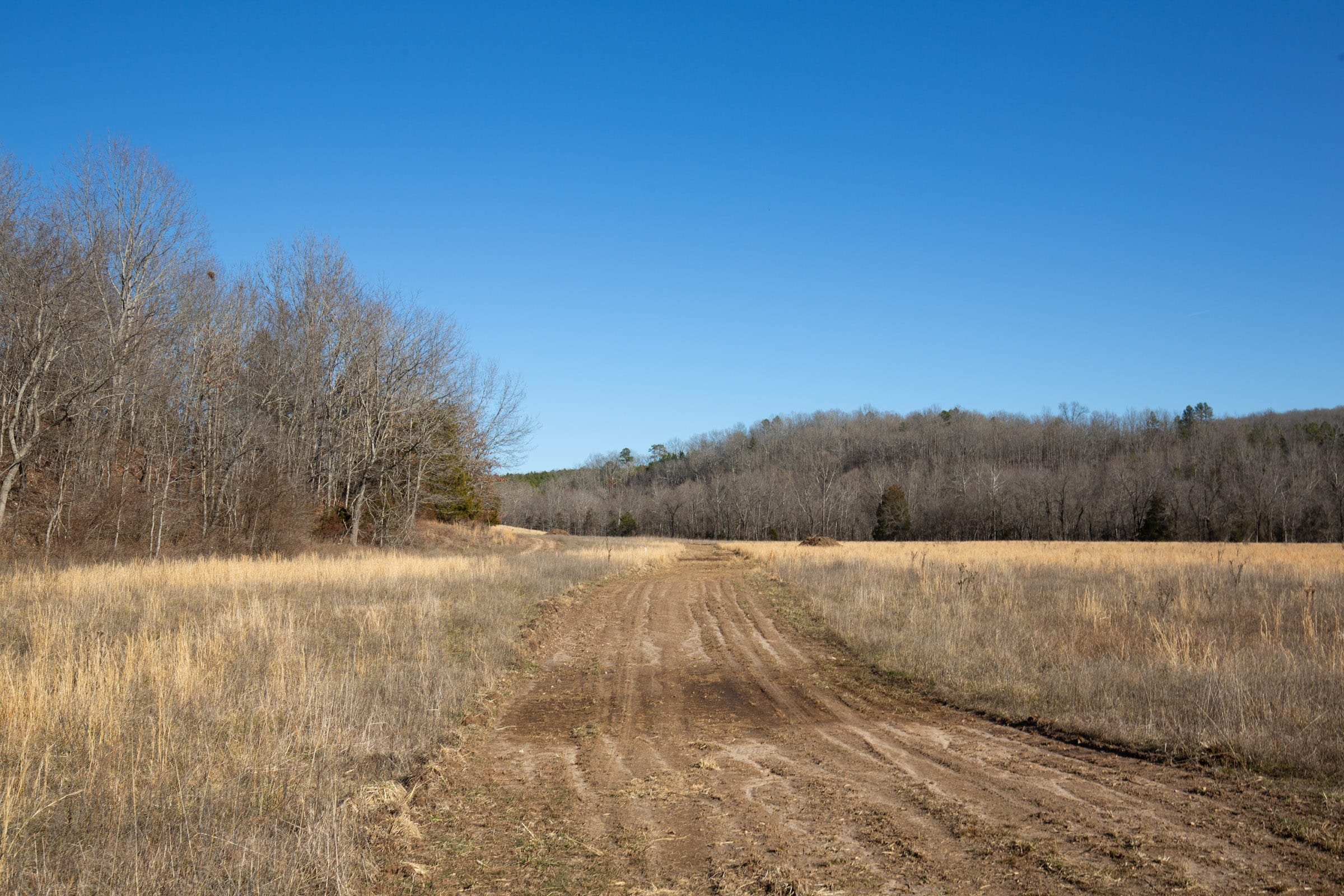 O’Connor Crossing Tract 5 photo 7