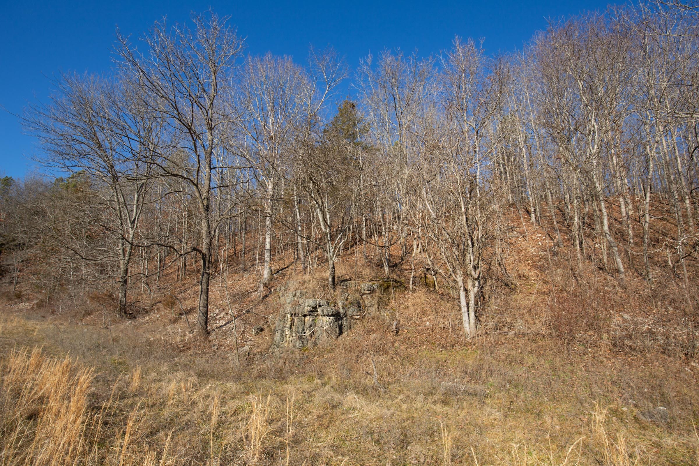 O’Connor Crossing Tract 5 photo 8