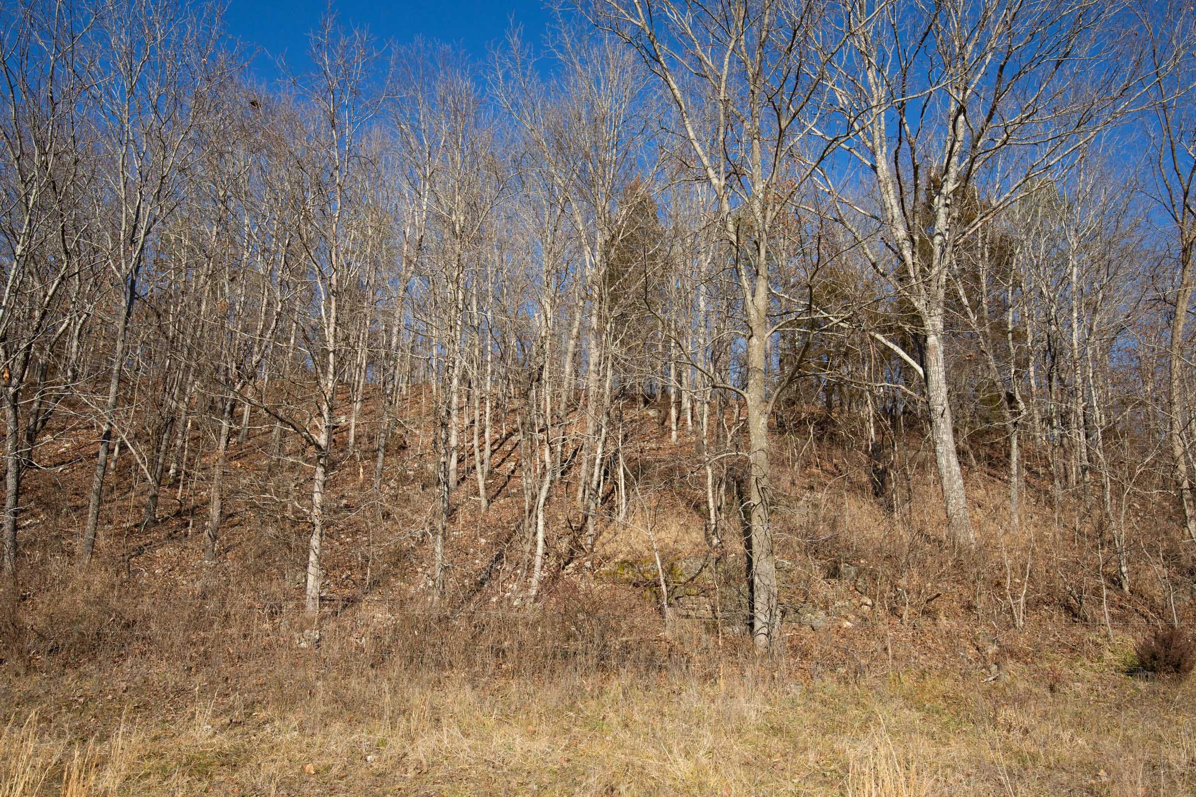 O’Connor Crossing Tract 5 photo 11