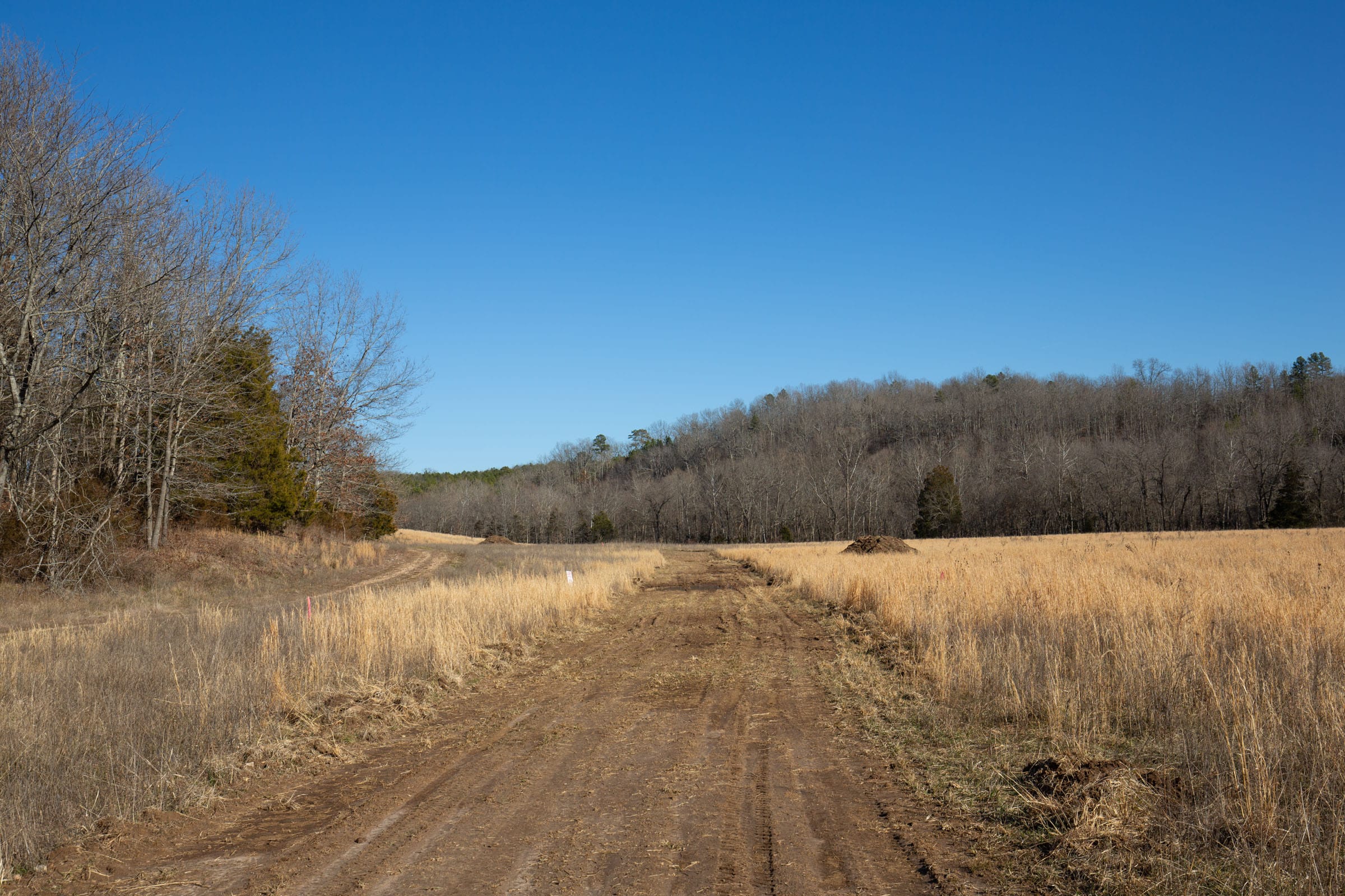 O’Connor Crossing Tract 5 photo 10