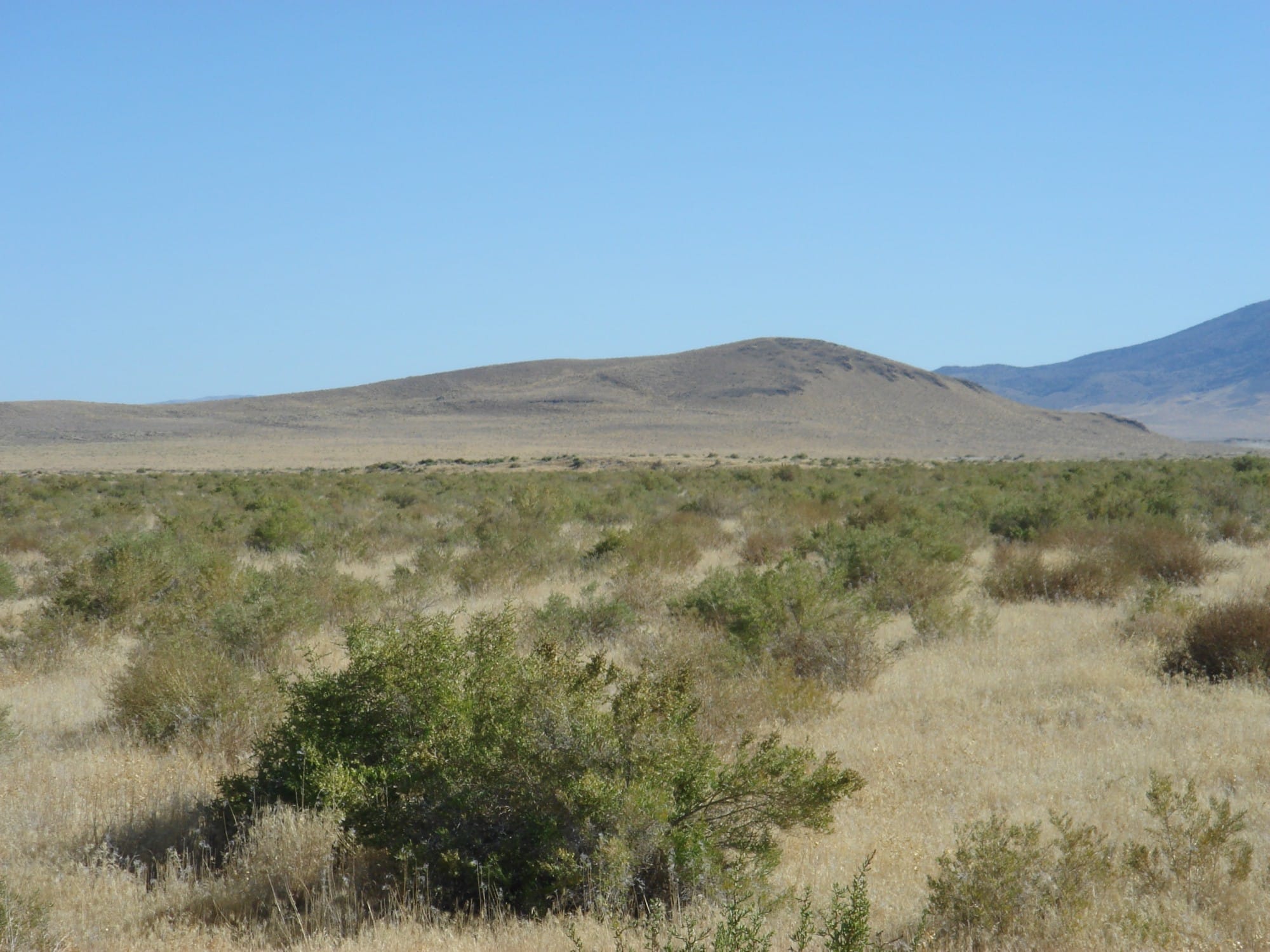 Humboldt County Tract 15 photo 4