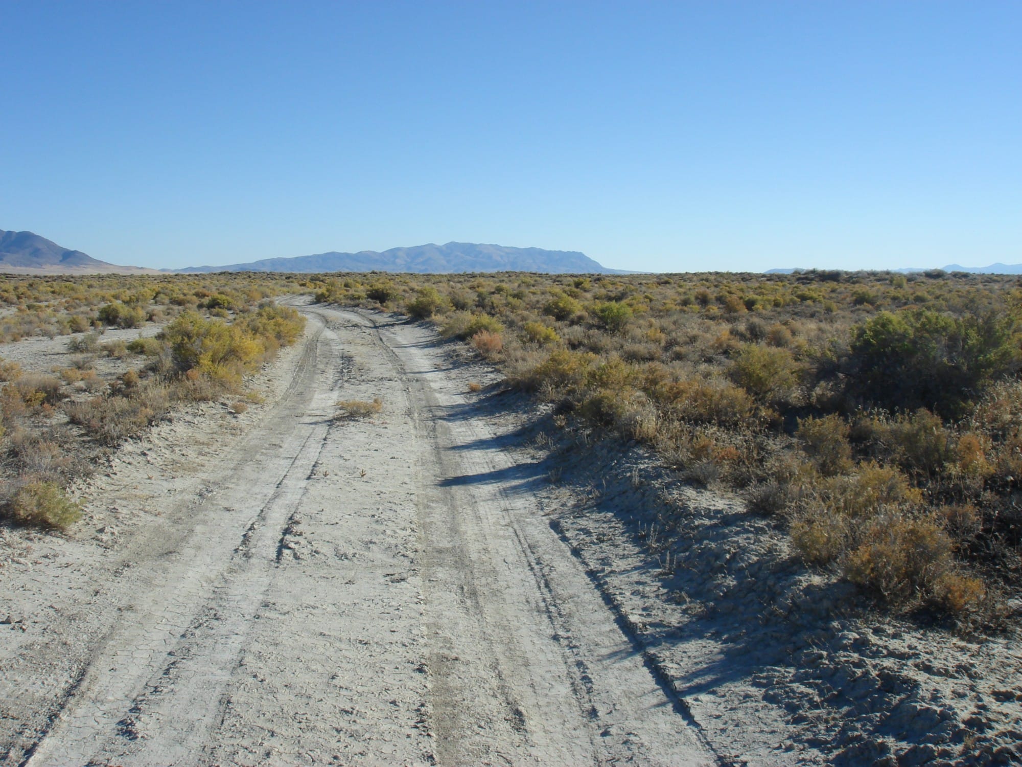 Humboldt County Tract 15 photo 13