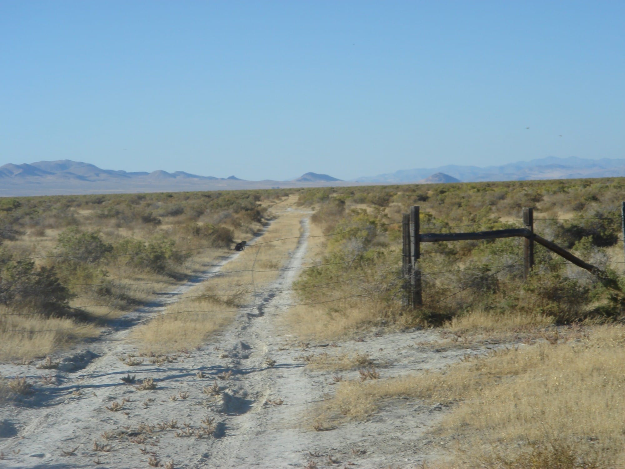 Humboldt County Tract 15 photo 17