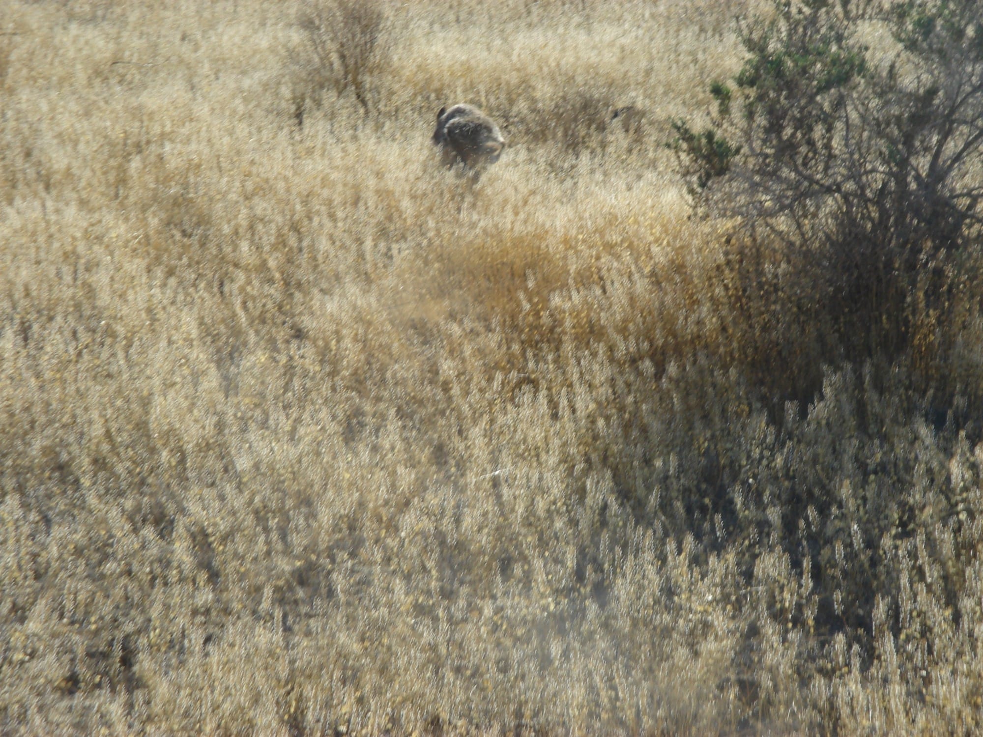 Humboldt County Tract 15 photo 19