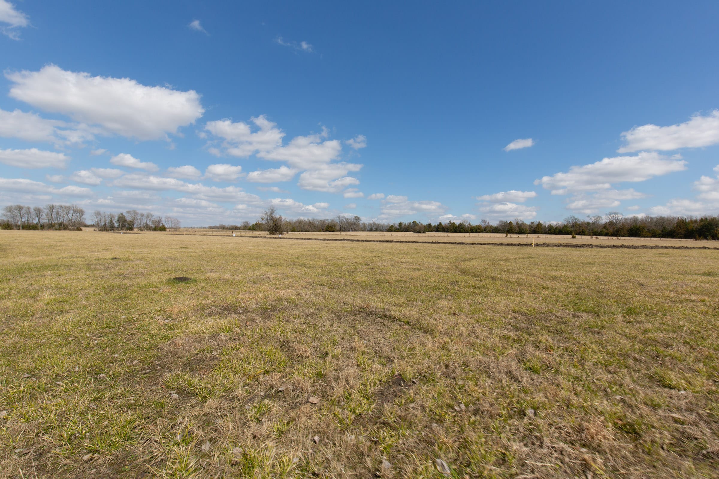 Wishing Star Ranch Tract 89 photo 3