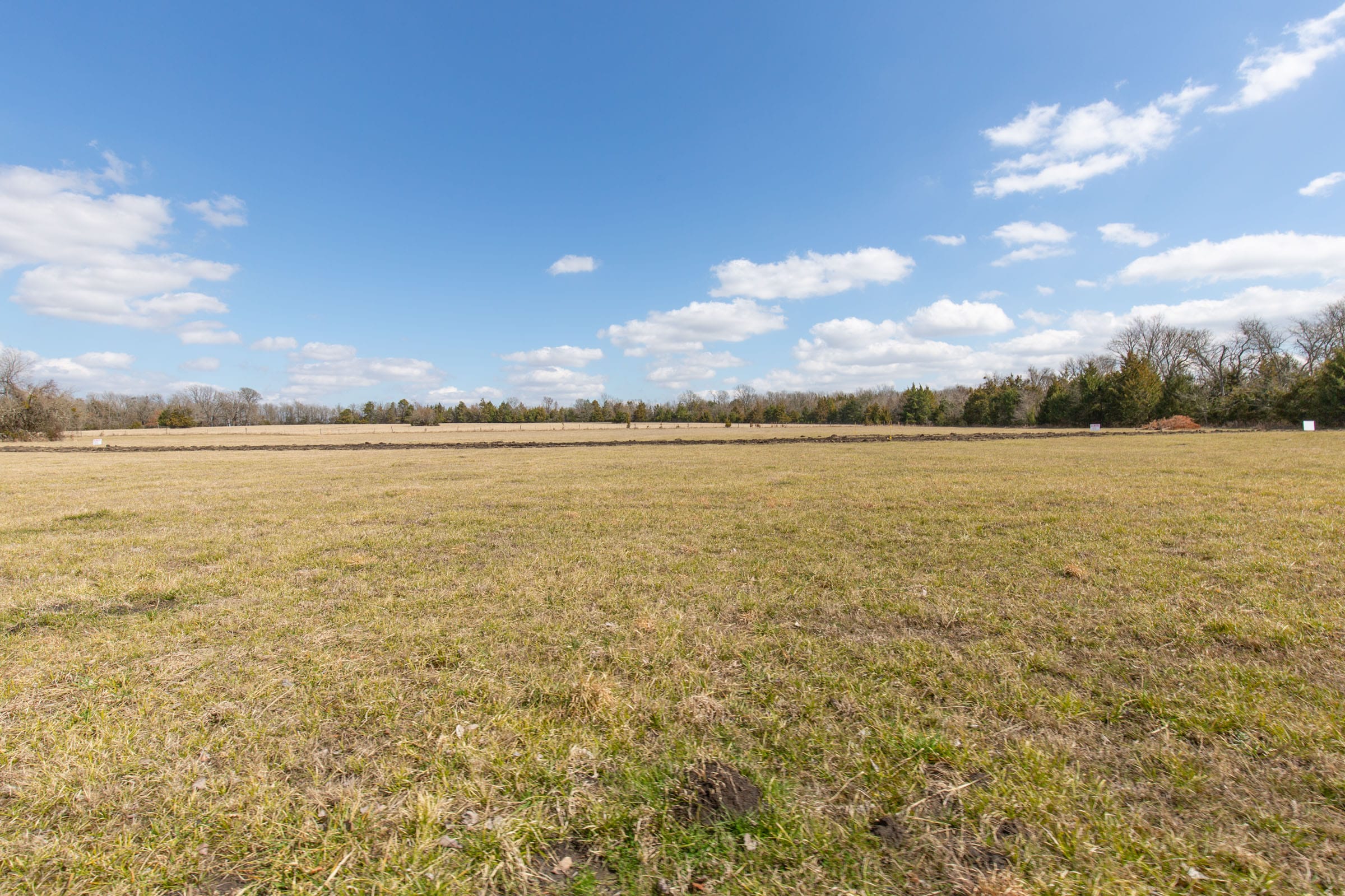 Wishing Star Ranch Tract 89 photo 4
