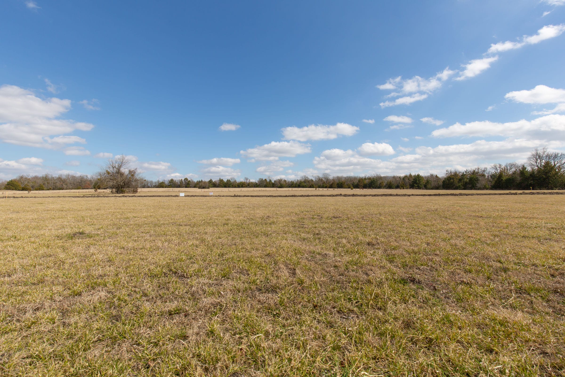 Wishing Star Ranch Tract 89 photo 5