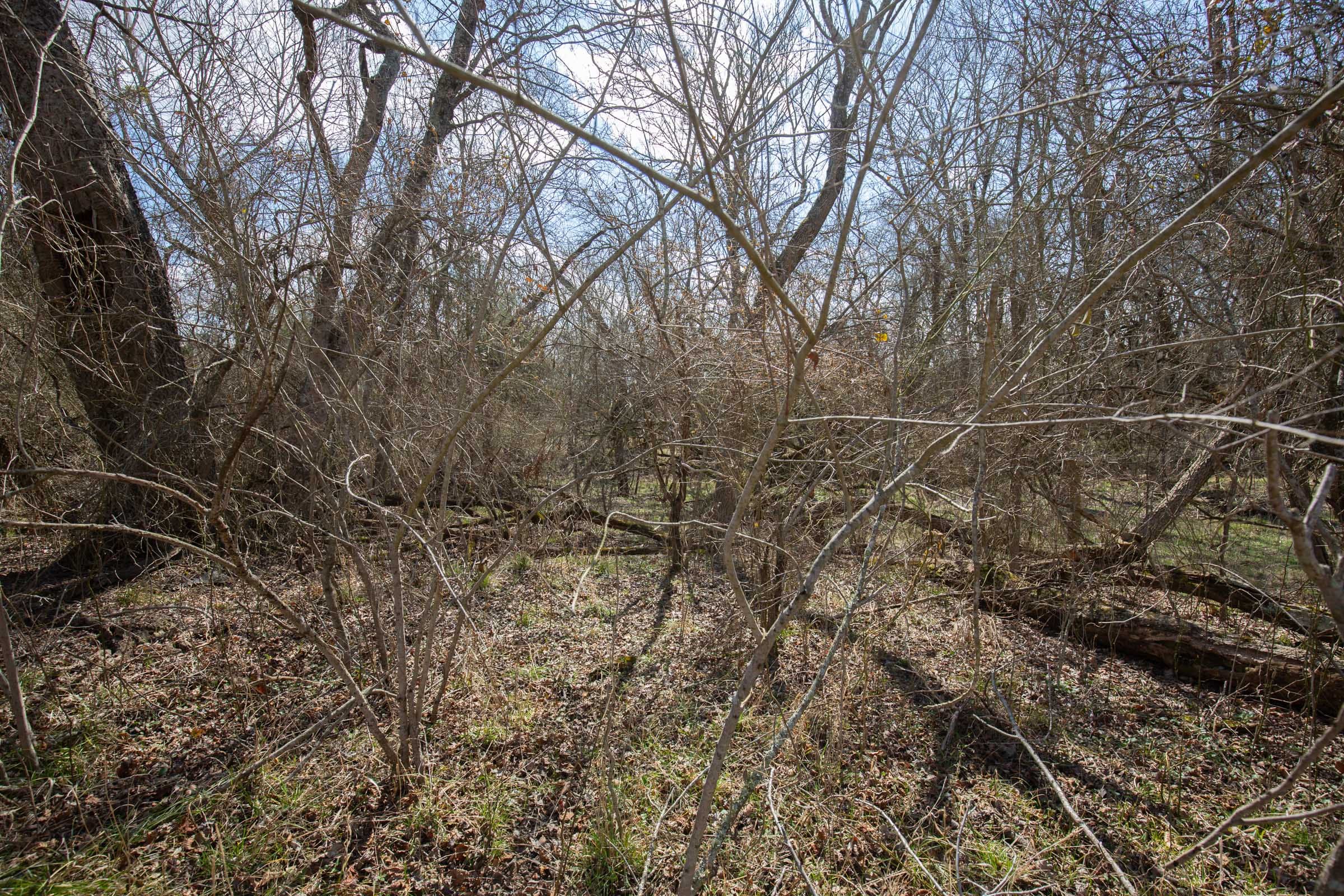Wishing Star Ranch Tract 89 photo 8