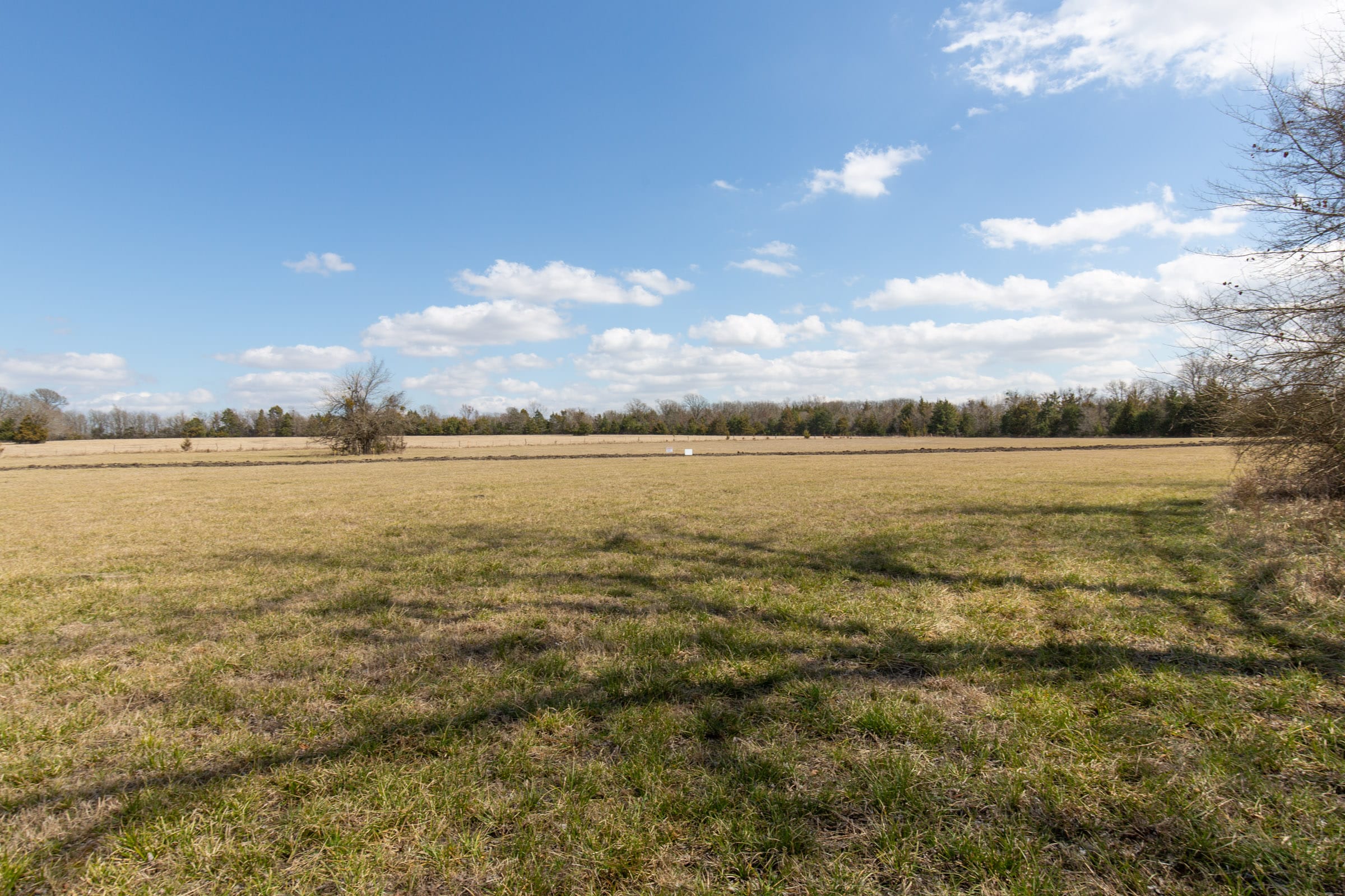 Wishing Star Ranch Tract 89 photo 10