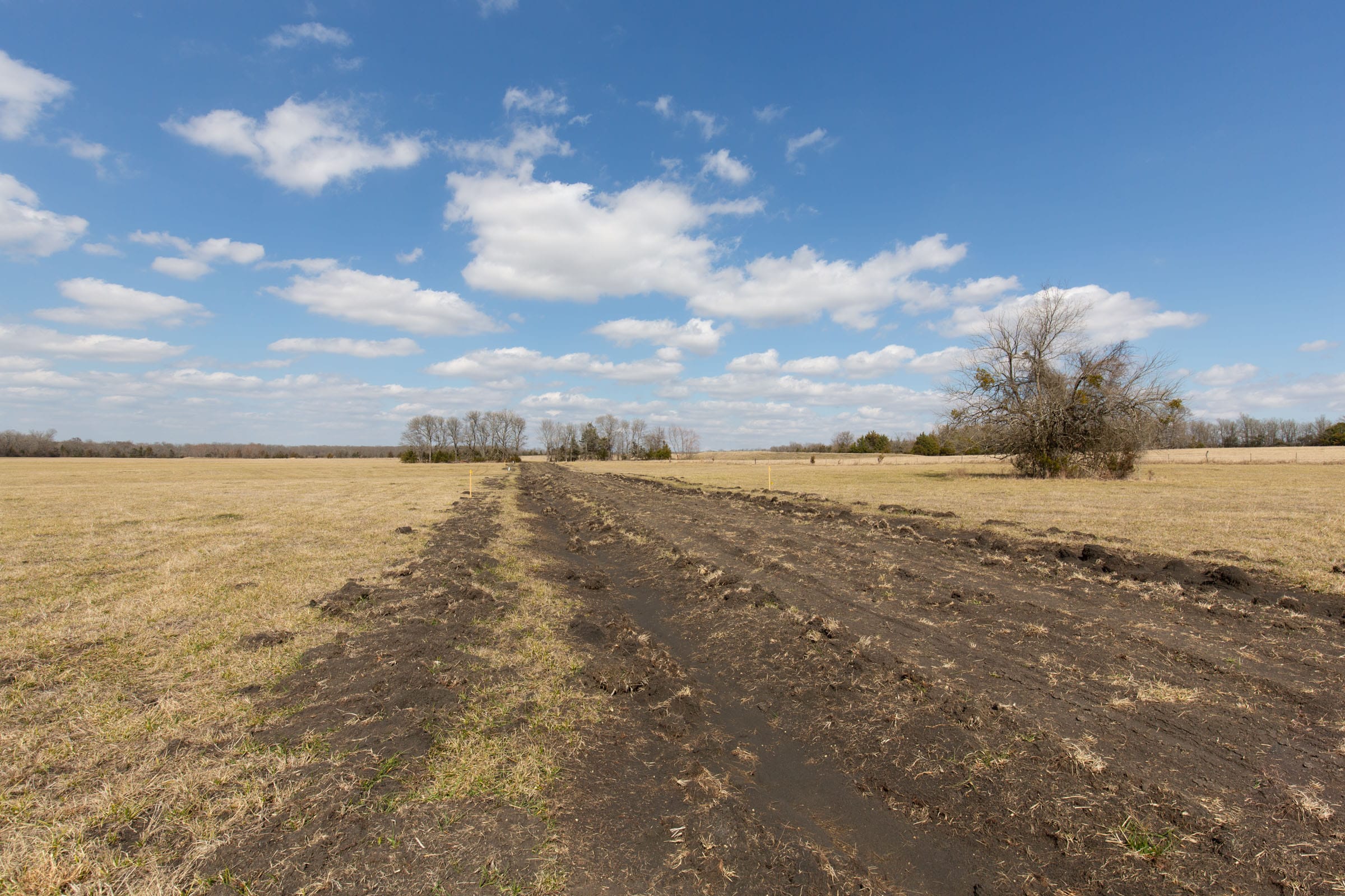 Wishing Star Ranch Tract 89 photo 1