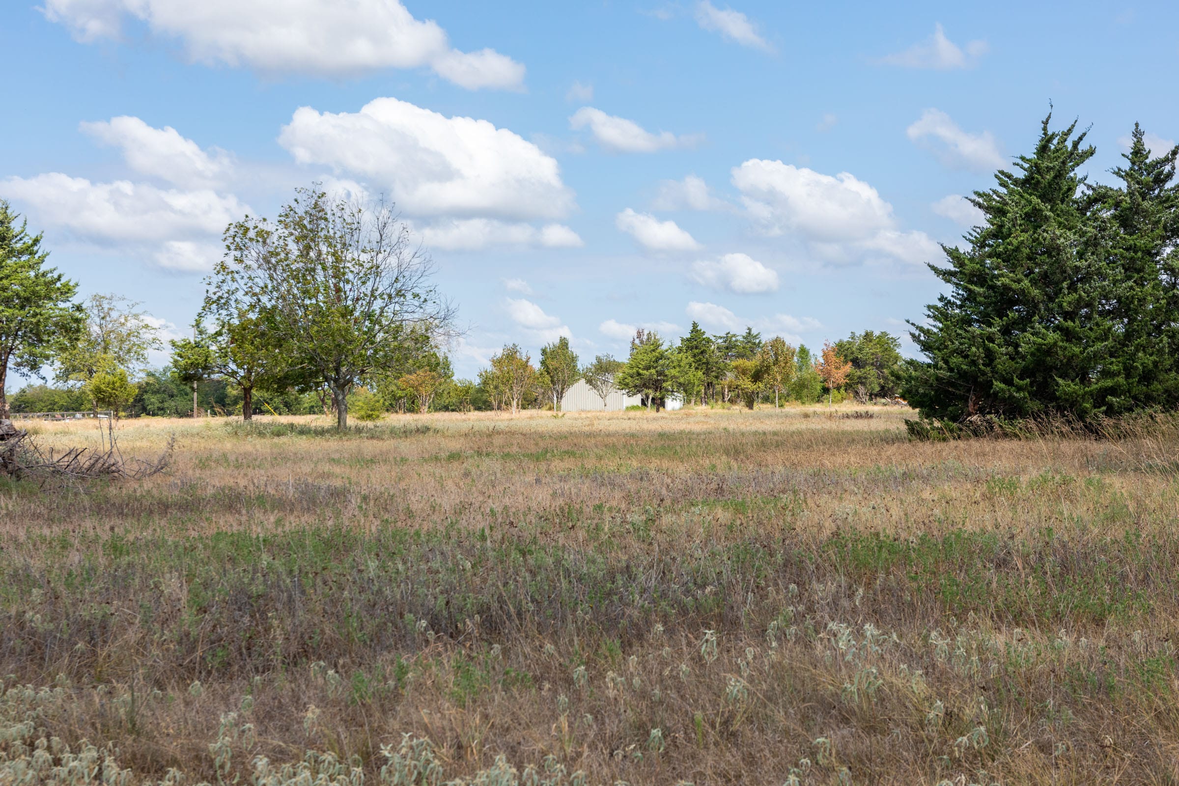 Wildflower Reserve Tract 7 photo 5