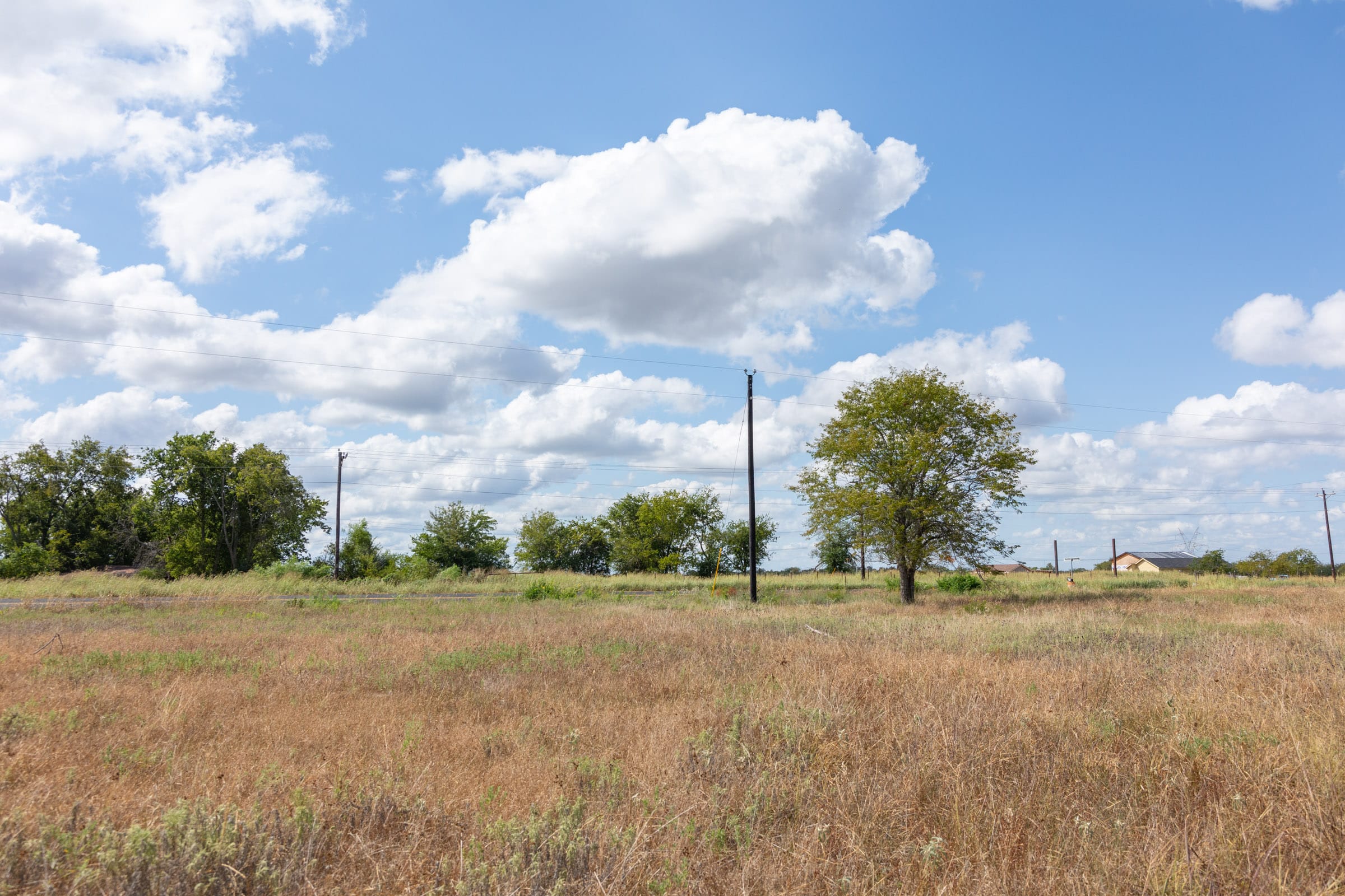Wildflower Reserve Tract 7 photo 8