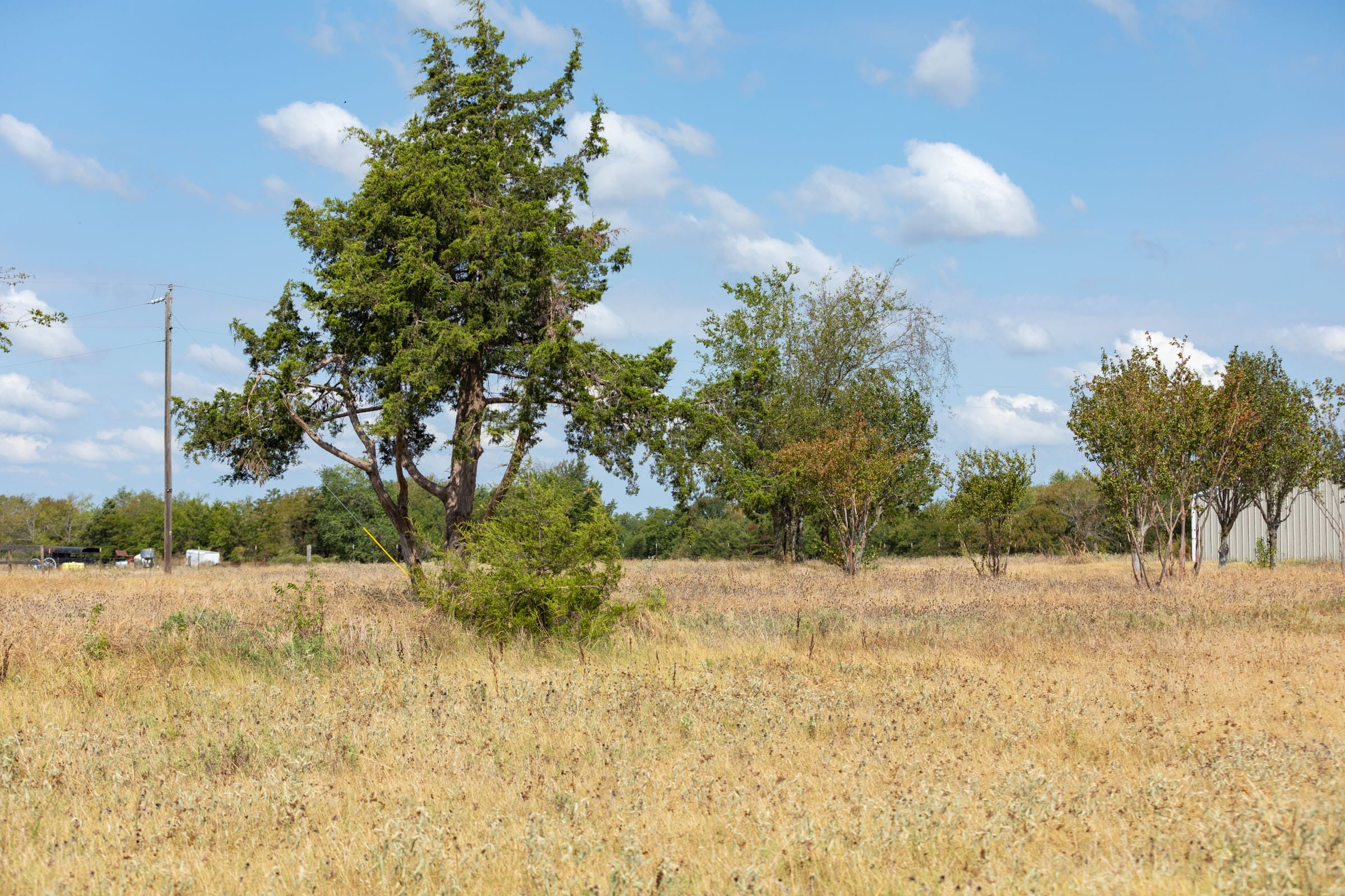 Wildflower Reserve Tract 7 photo 9