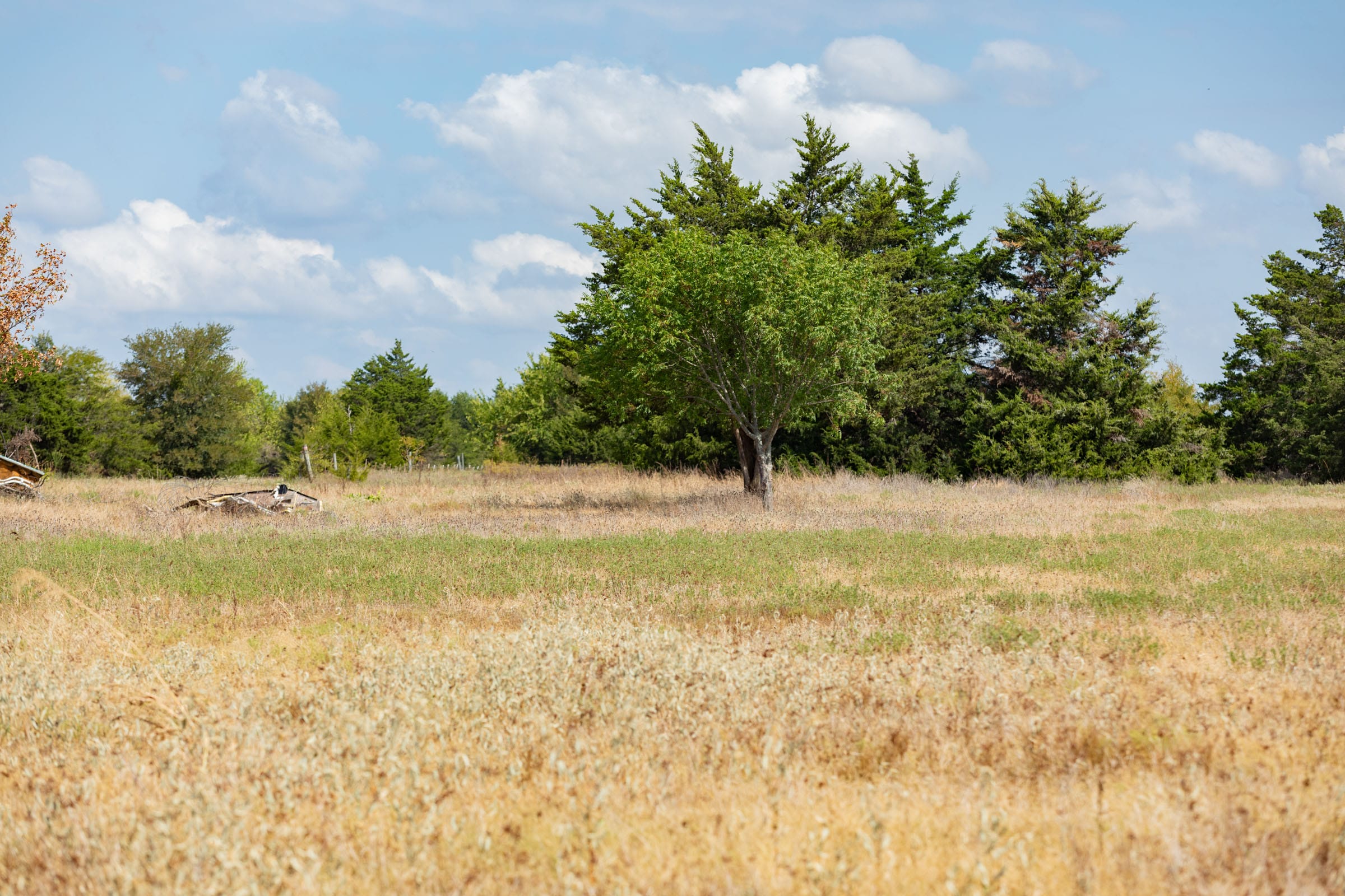 Wildflower Reserve Tract 7 photo 6