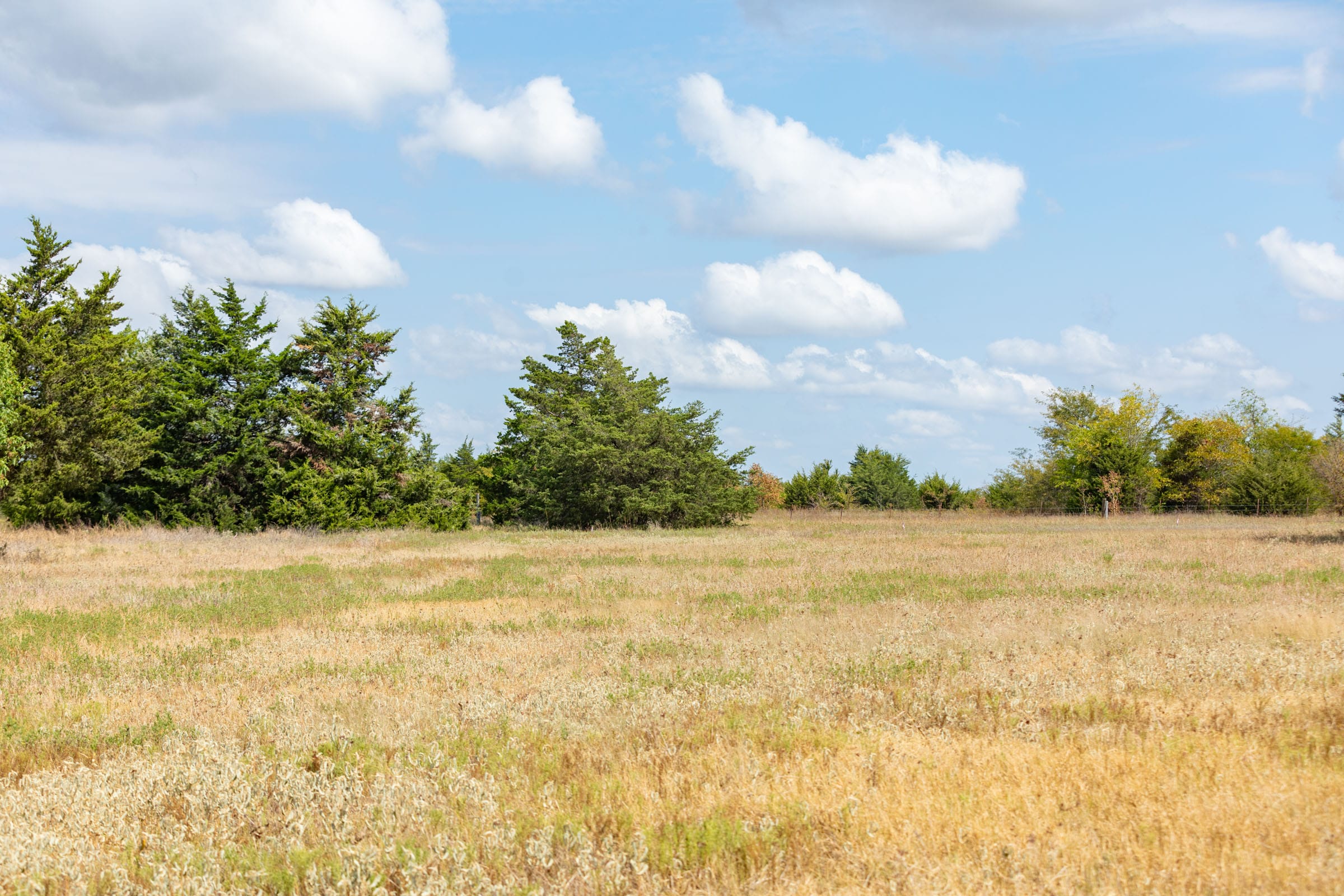 Wildflower Reserve Tract 7 photo 12