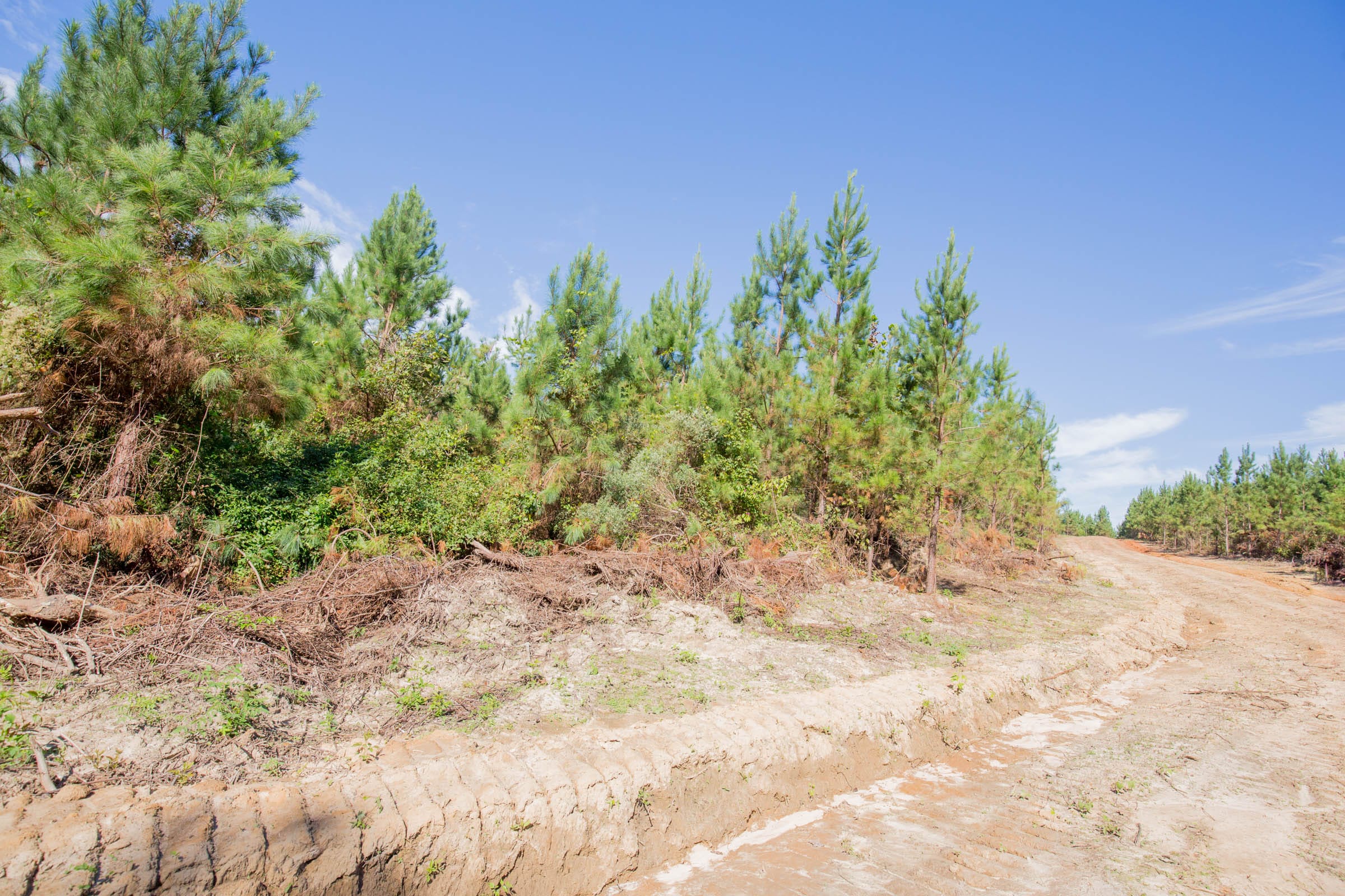 Sky Ranch Tract 14 photo 9