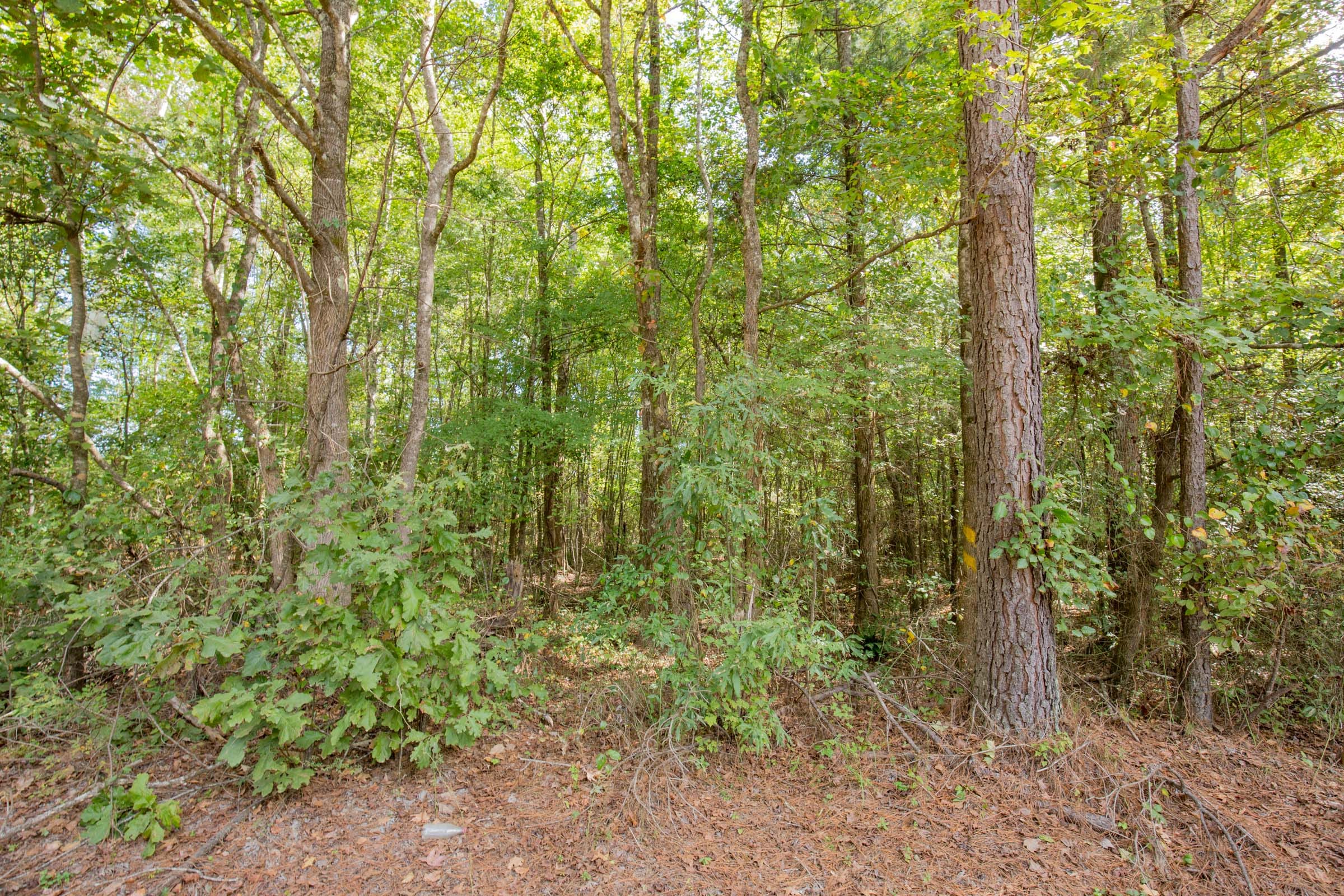 Sky Ranch Tract 14 photo 12
