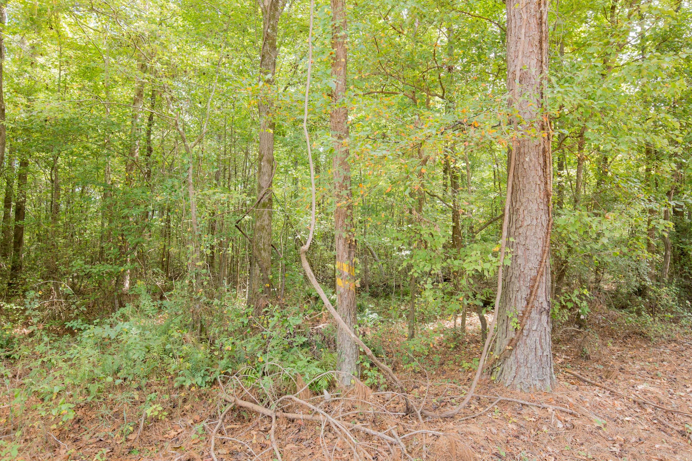 Sky Ranch Tract 14 photo 14