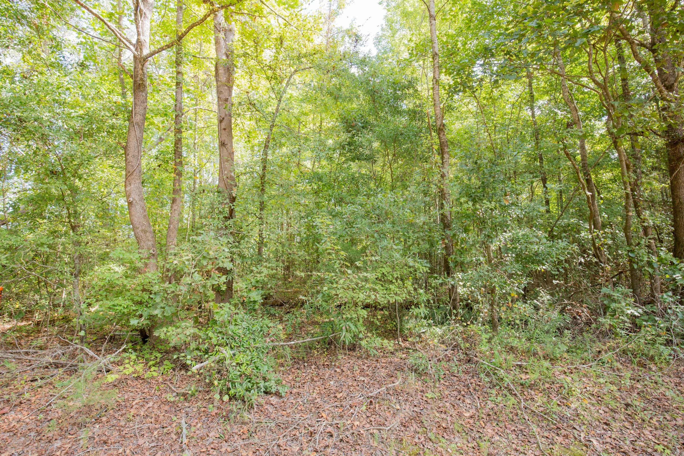 Sky Ranch Tract 14 photo 11
