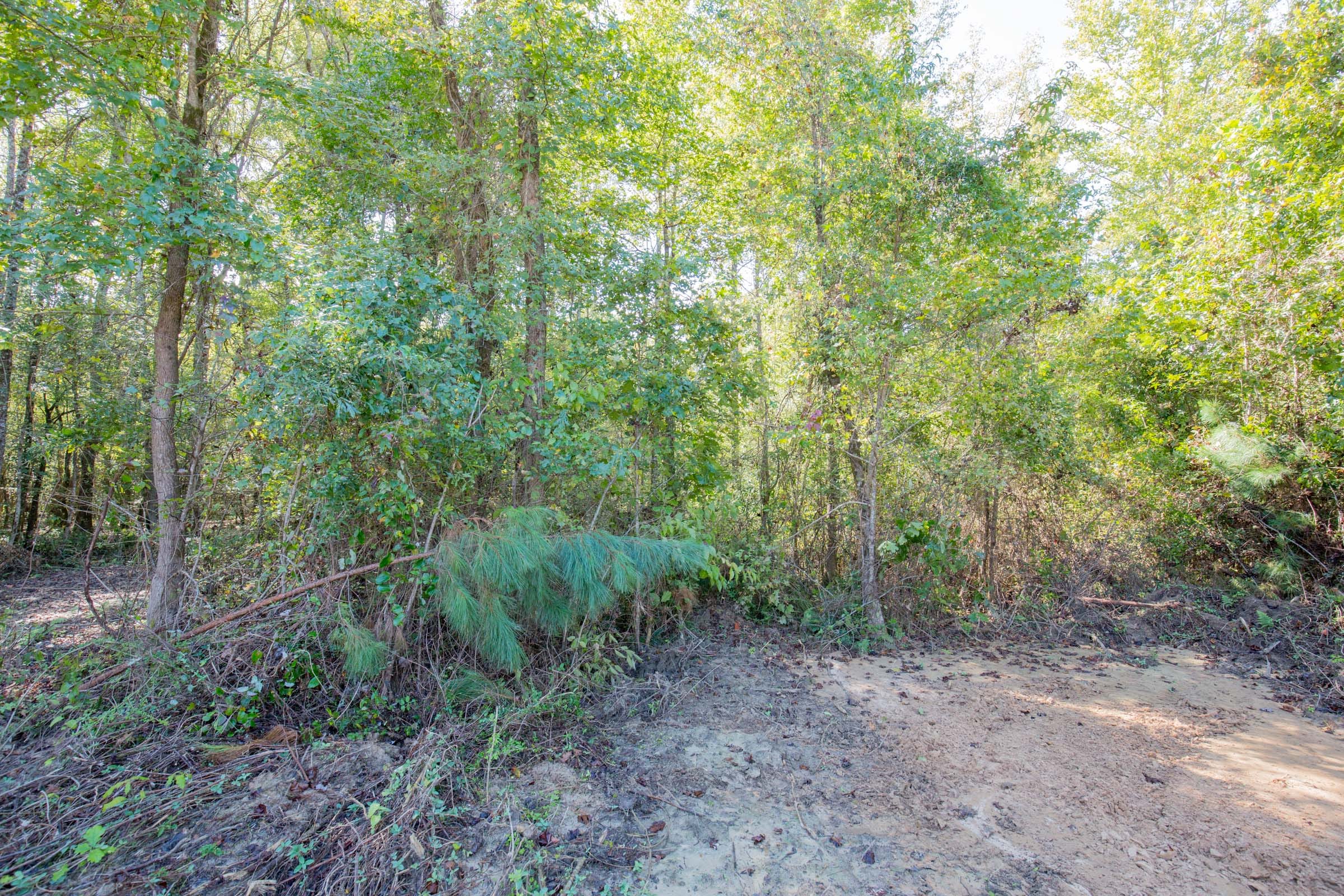 Sky Ranch Tract 14 photo 6