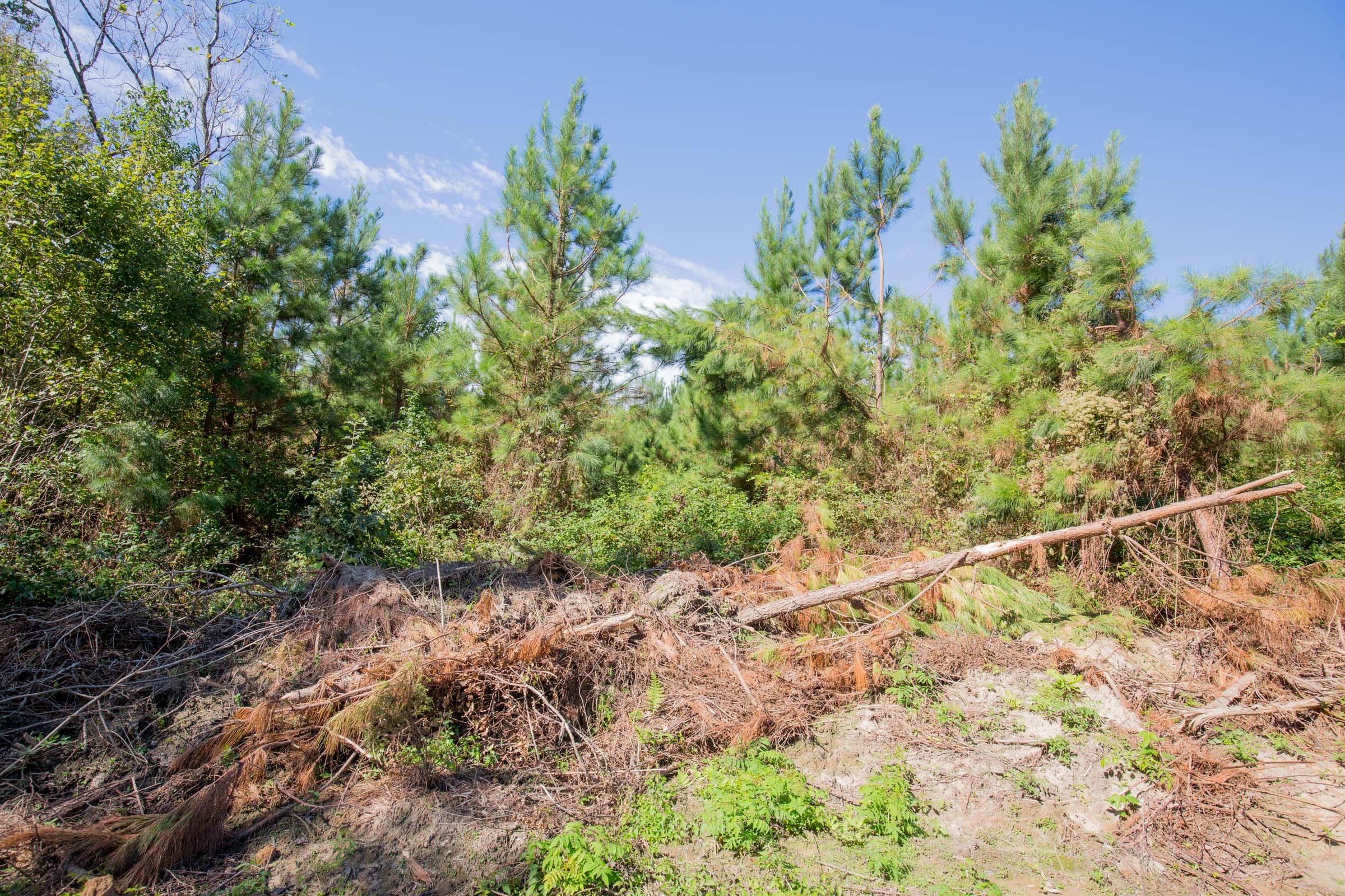 Sky Ranch Tract 14 photo 8
