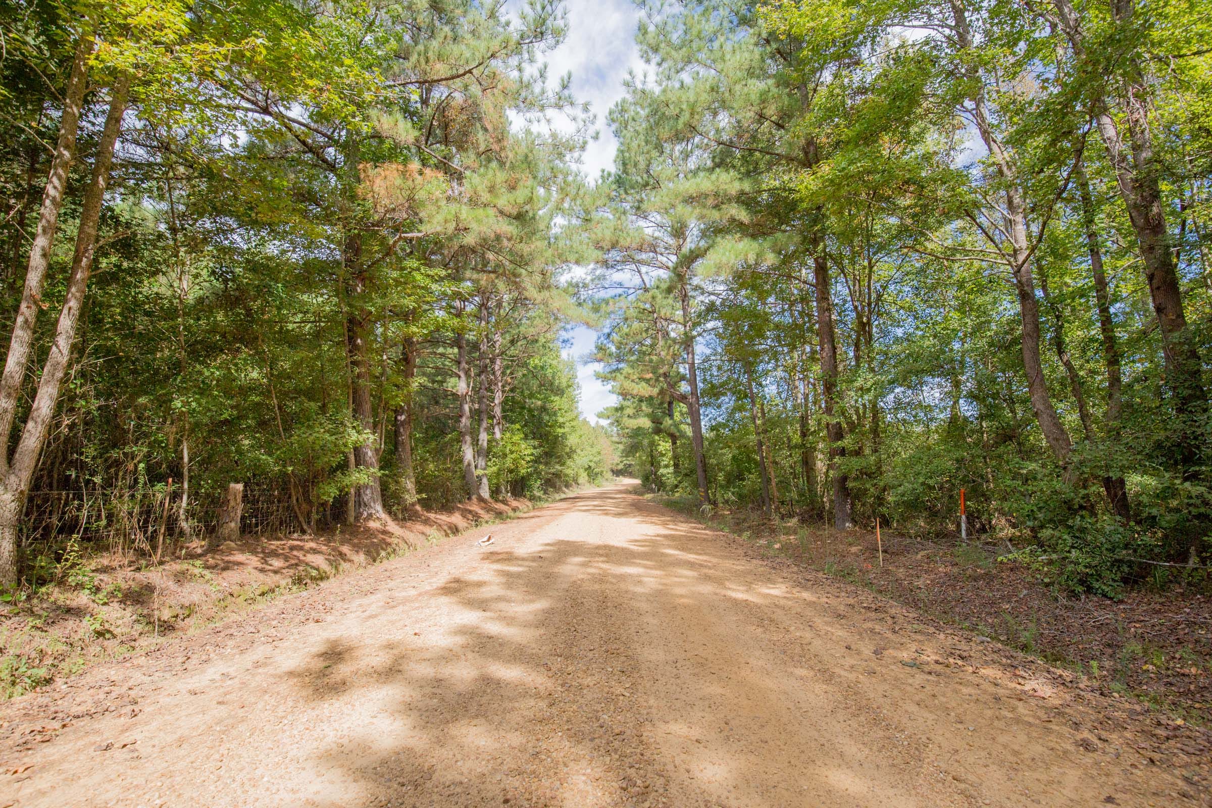 Sky Ranch Tract 14 photo 10