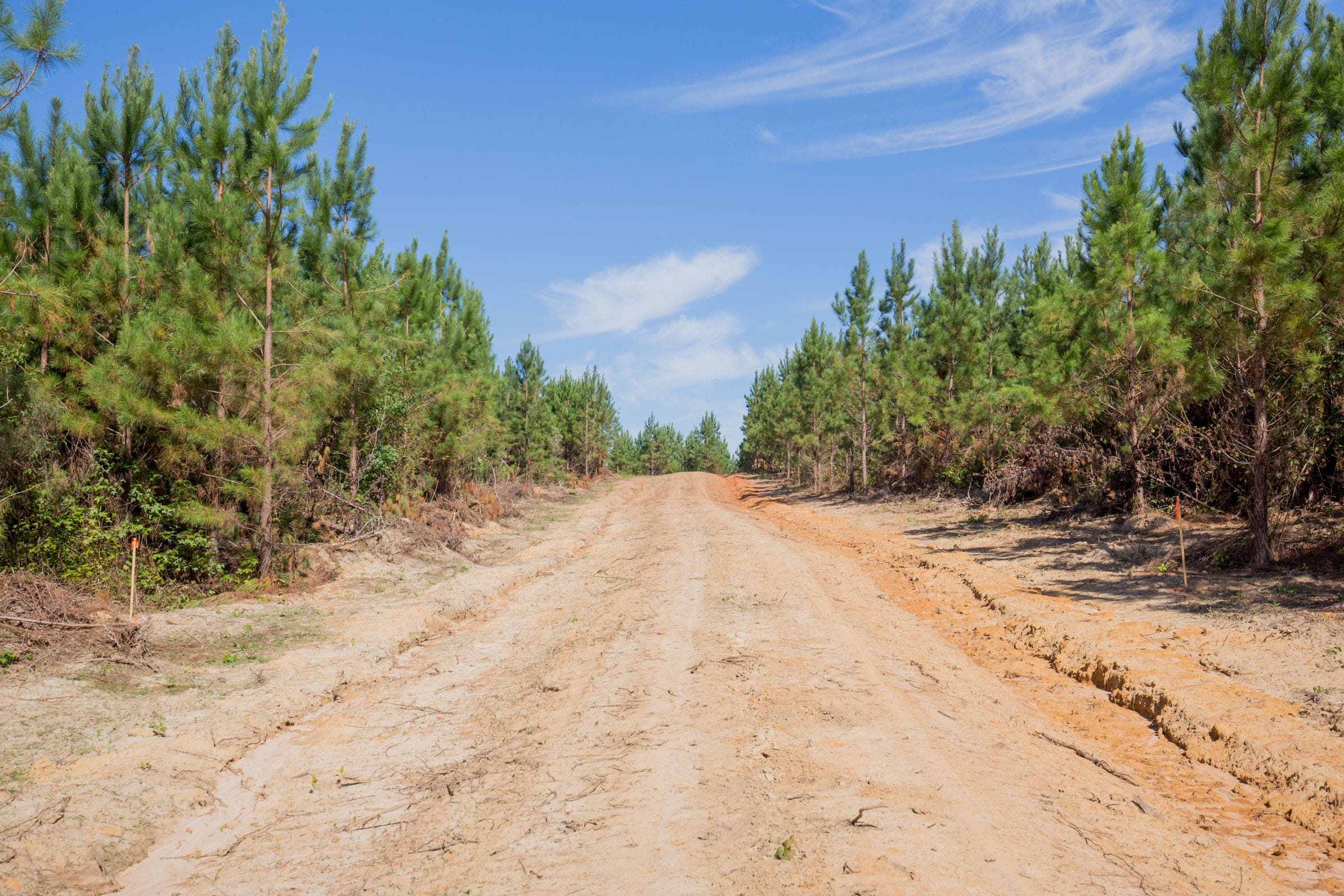Sky Ranch Tract 14 photo 2