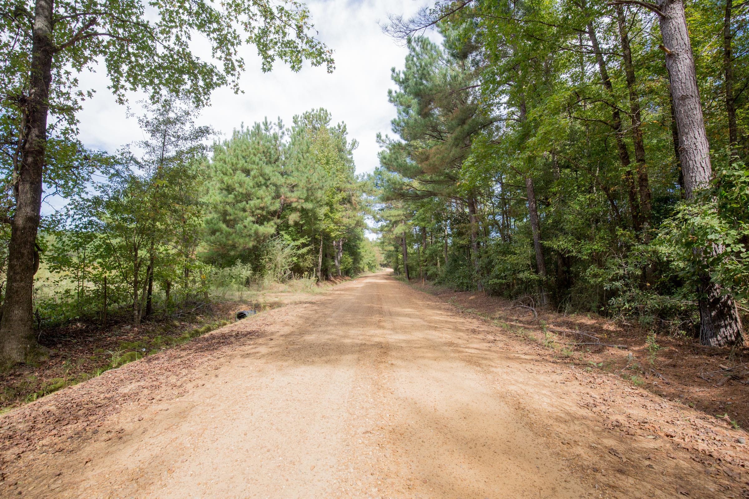 Sky Ranch Tract 14 photo 13