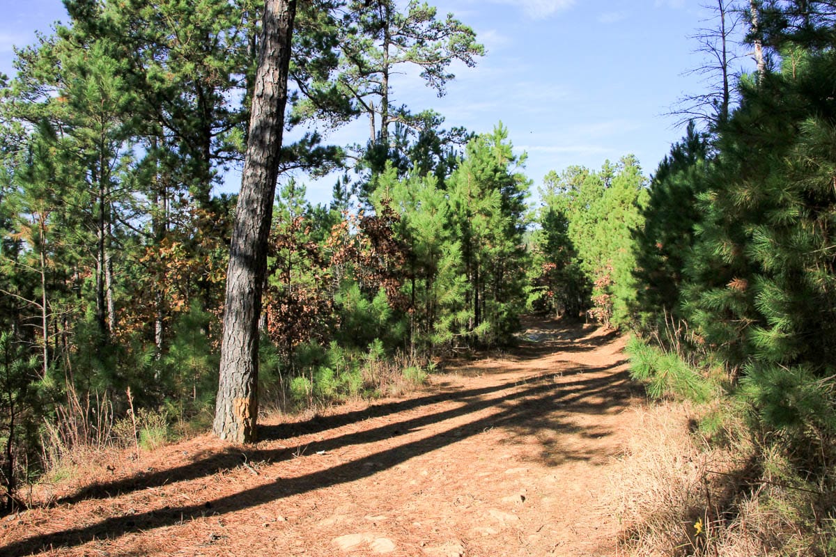 Stone Creek Phase III Tract 9 photo 2