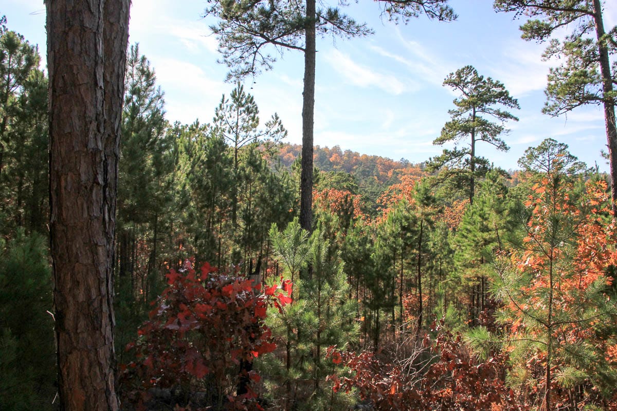 Stone Creek Phase III Tract 9 photo 3