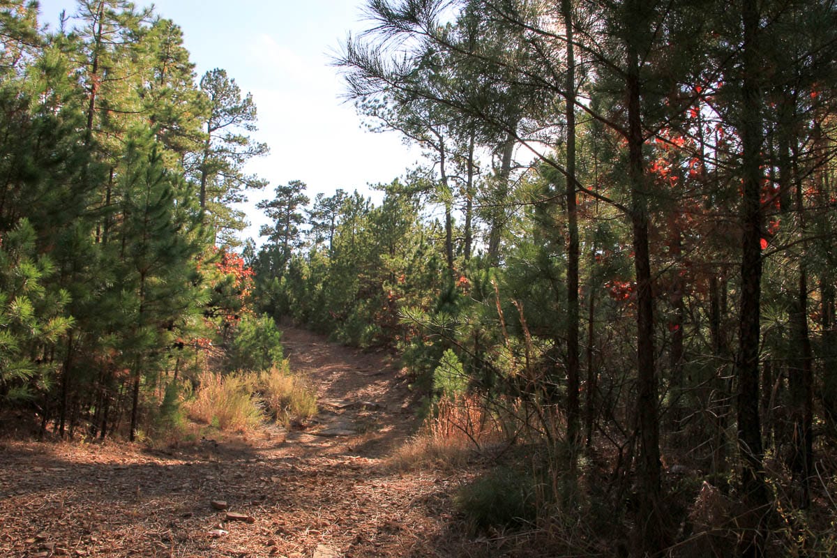 Stone Creek Phase III Tract 9 photo 8