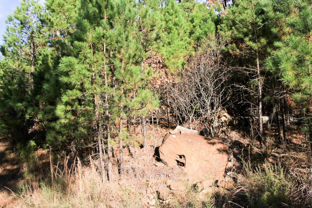 Stone Creek Phase III Tract 9 photo 10