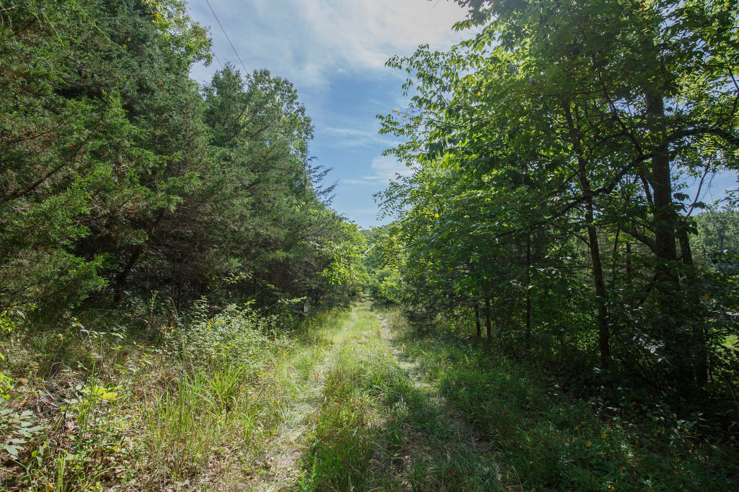 Spring Lake Plat 6 Tract 151 photo 1