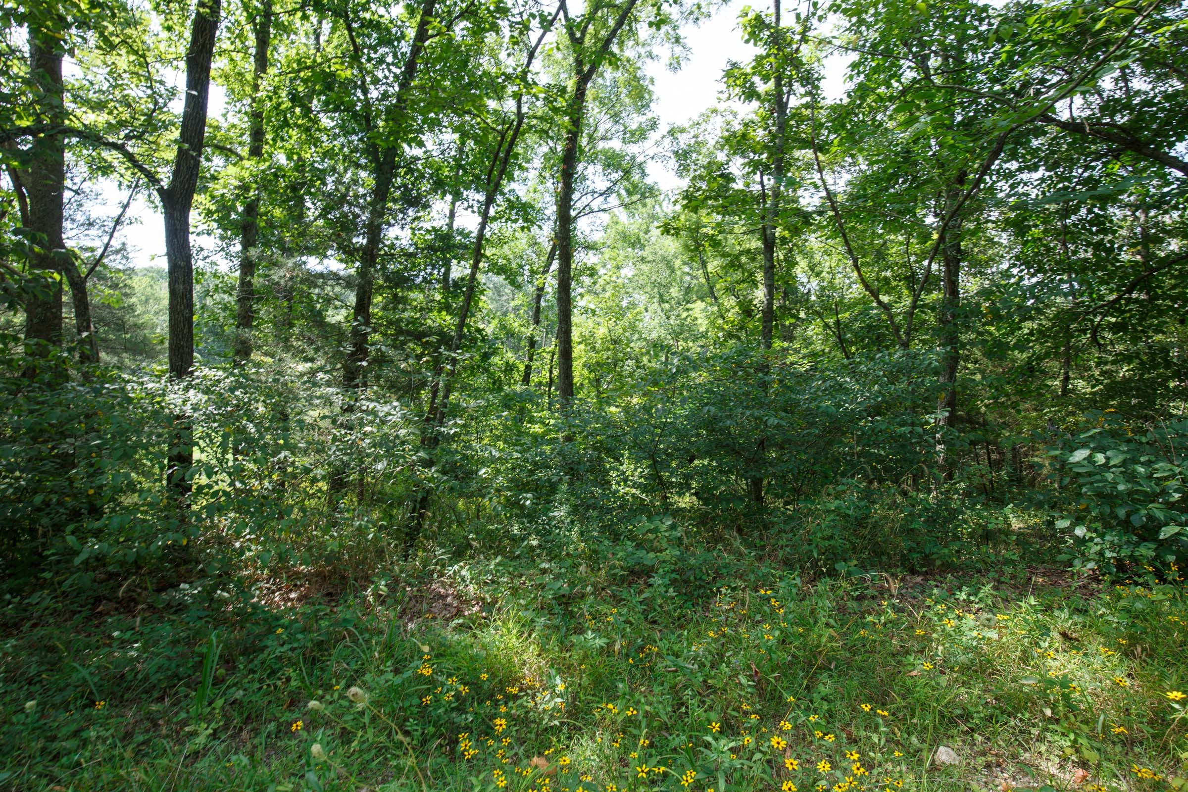Spring Lake Plat 6 Tract 151 photo 2