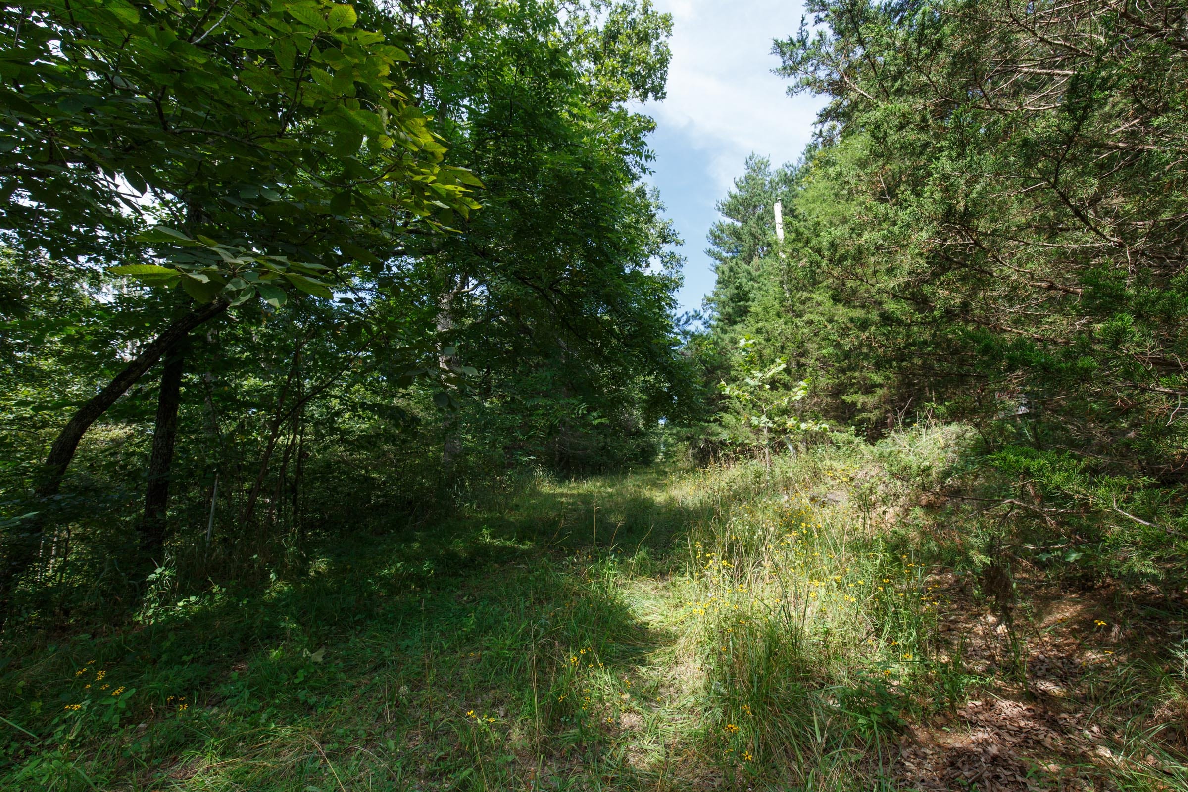 Spring Lake Plat 6 Tract 151 photo 4