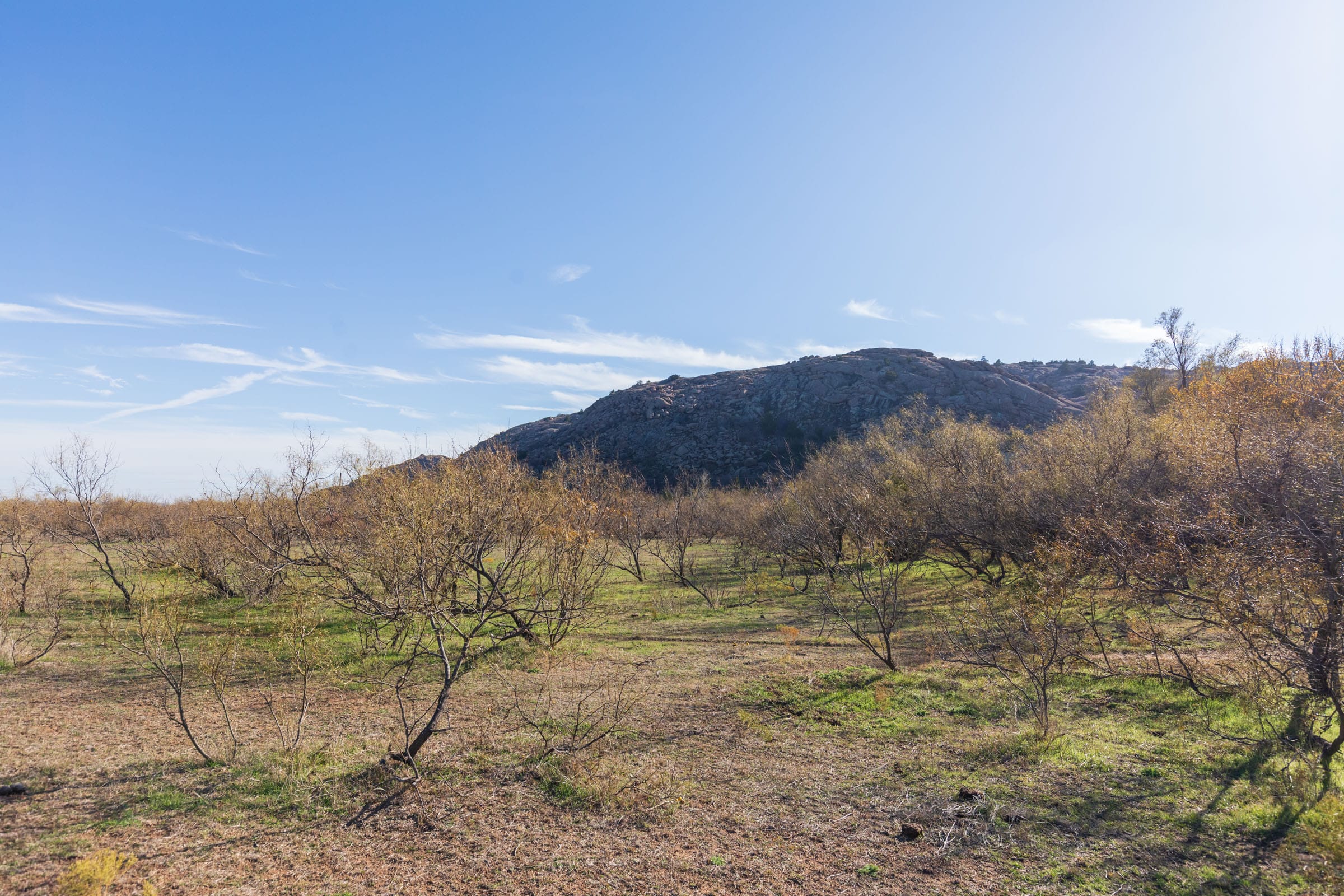 Coyote Ridge Tract 4 photo 2
