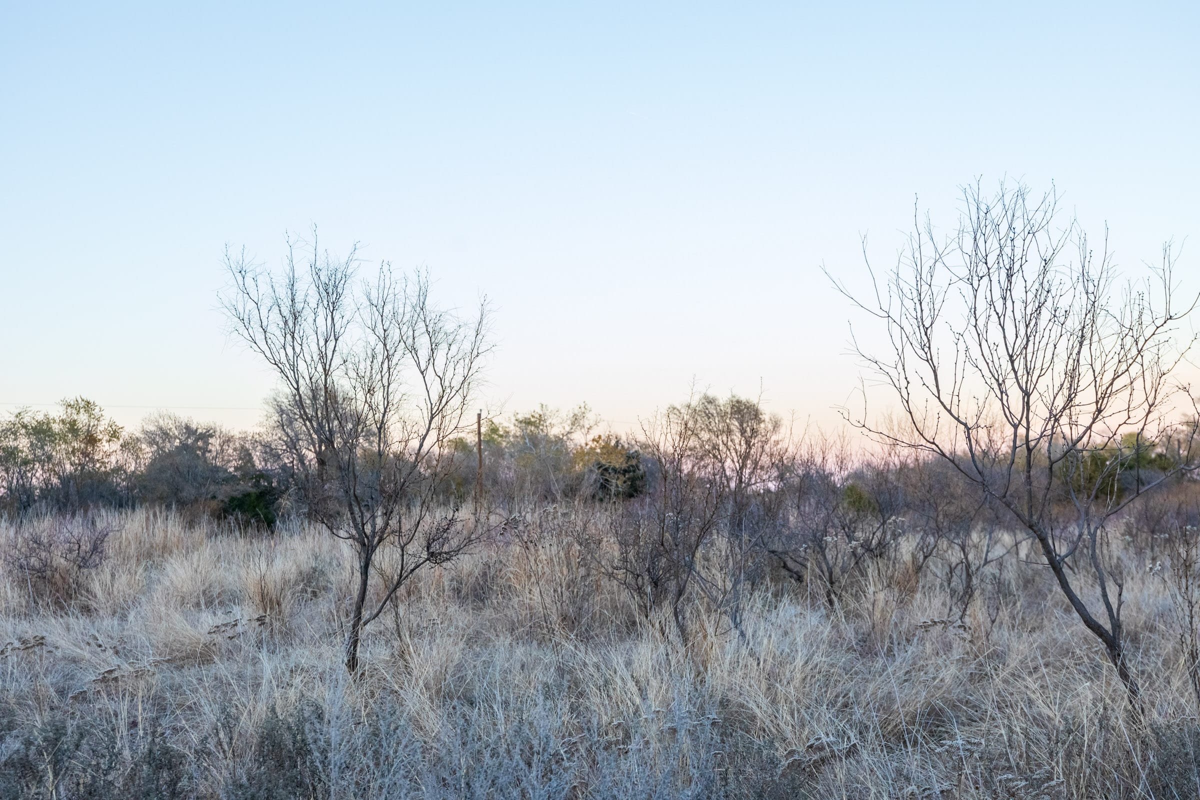 Coyote Ridge Tract 4 photo 8